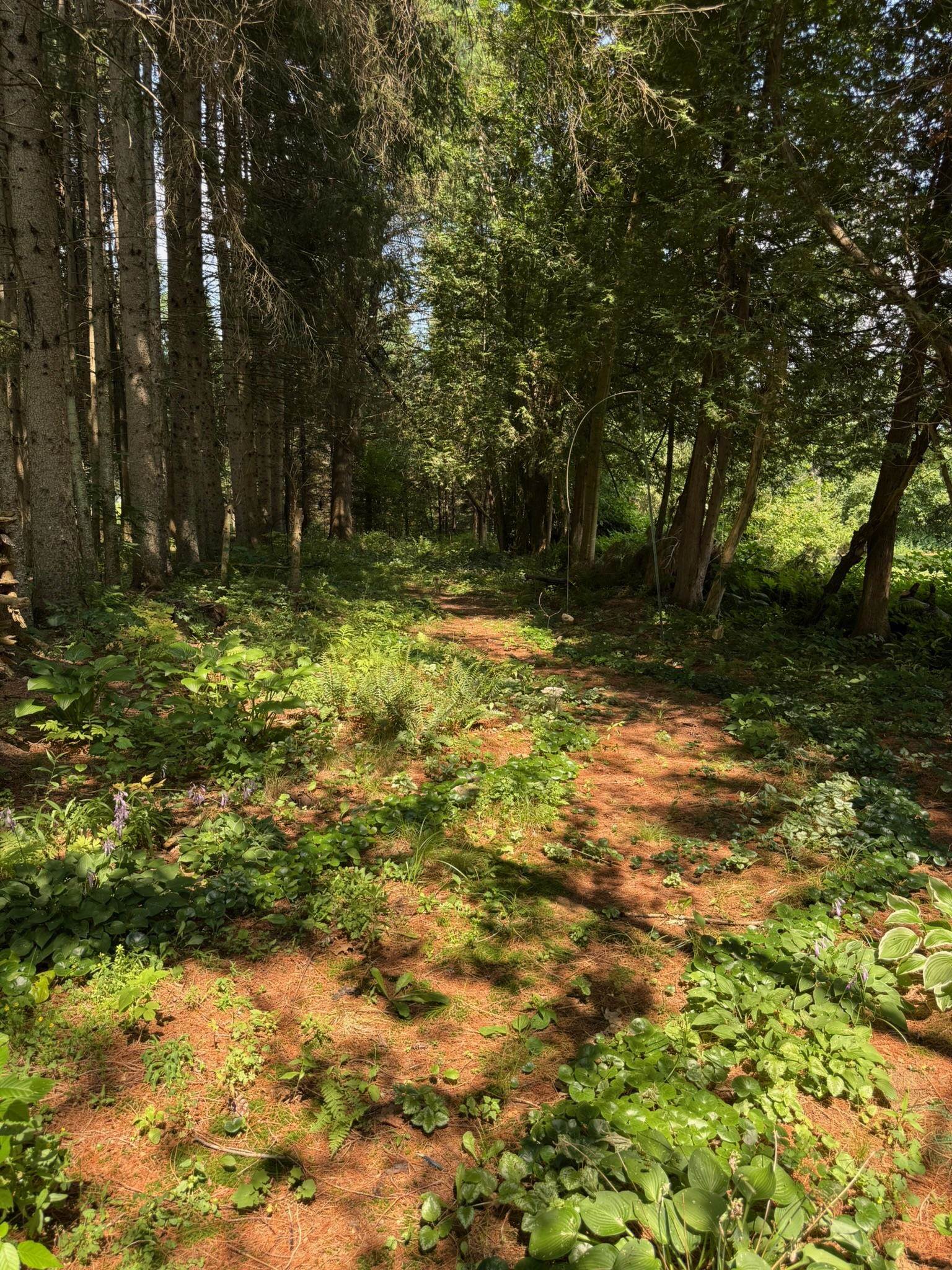 205 Loomis Hill Rd, Waterbury, VT 05677