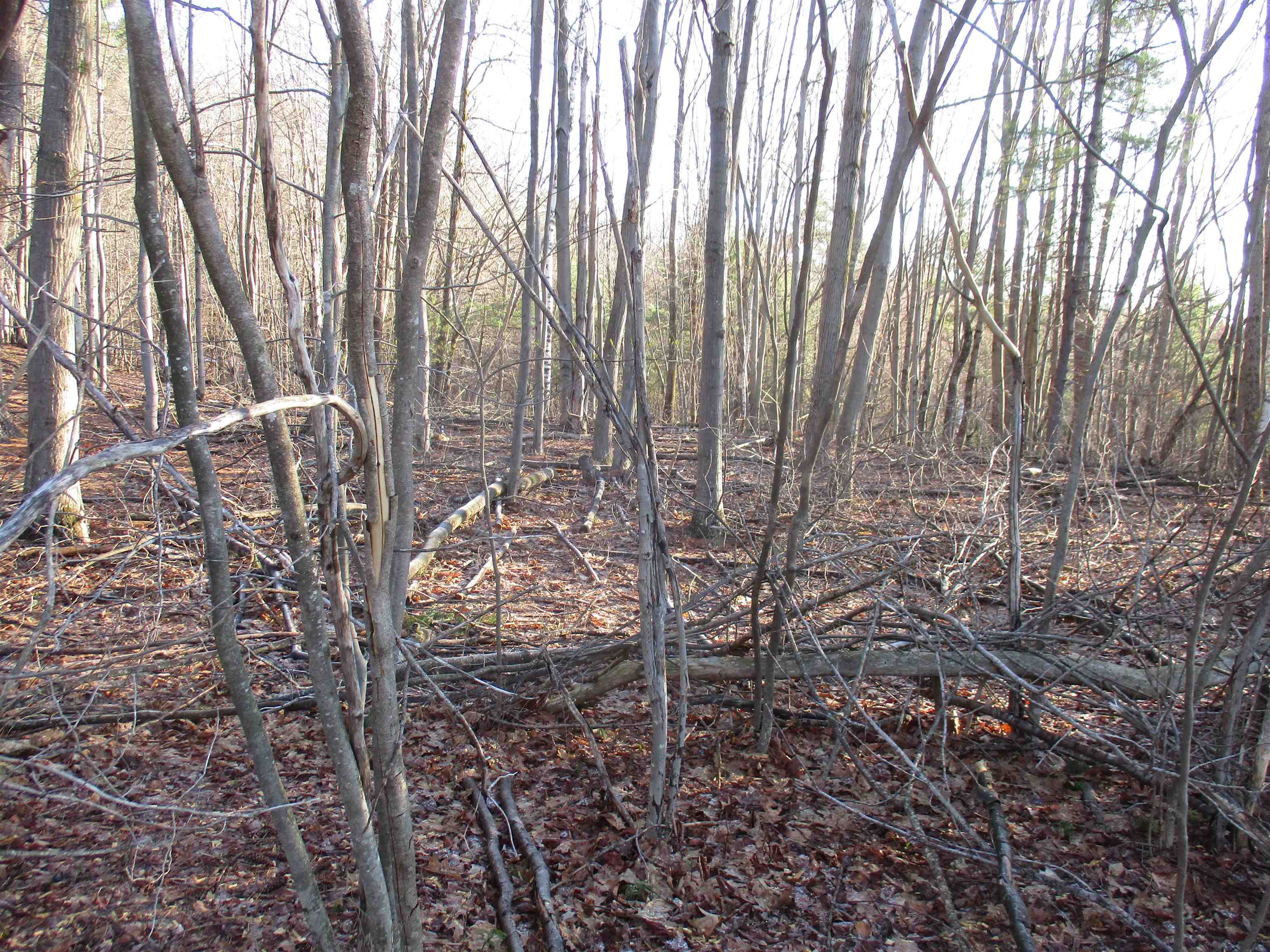 5A-10-5 Farley Ball Rd, Temple, NH 03084