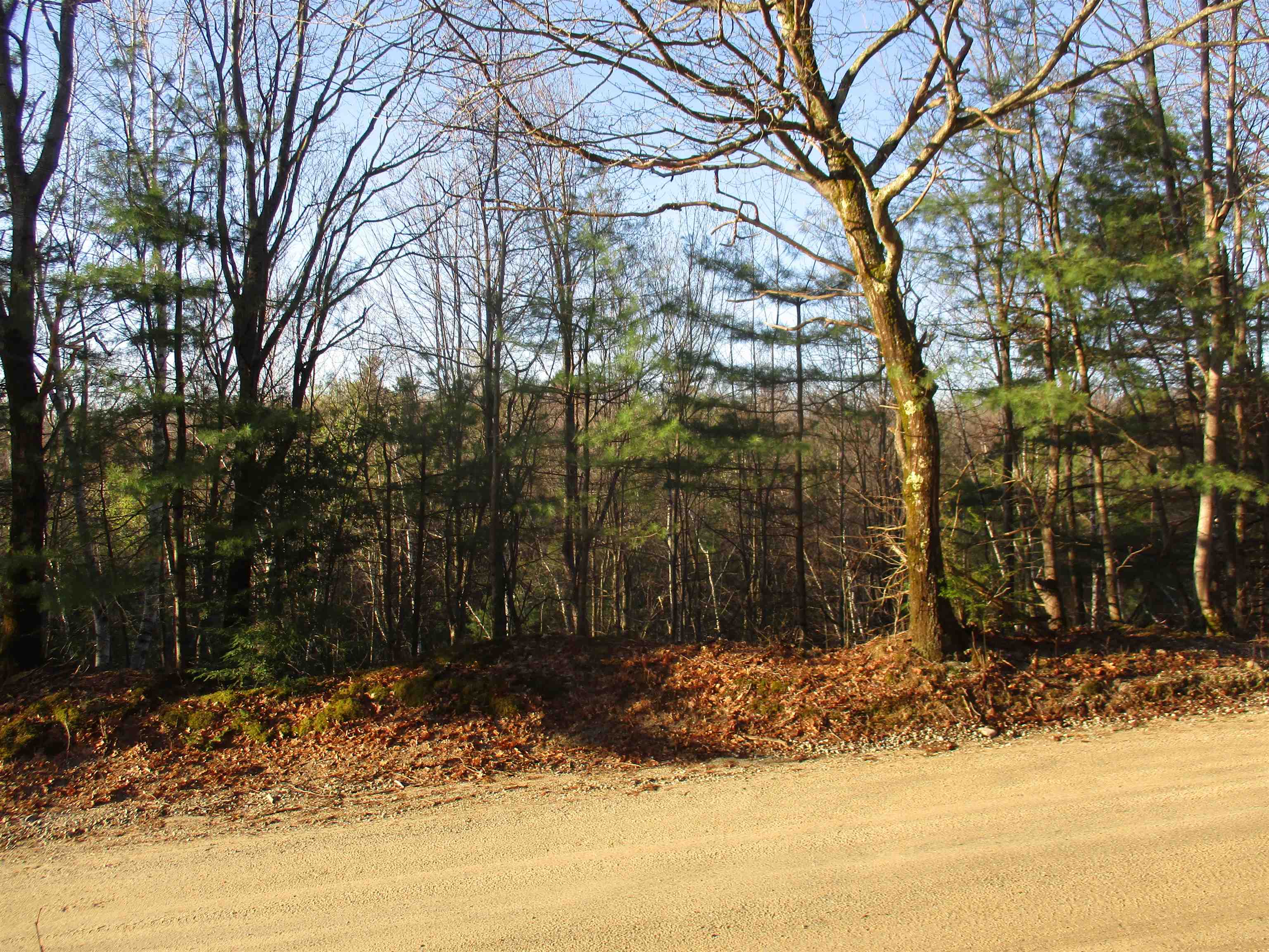 5A-10-5 Farley Ball Rd, Temple, NH 03084