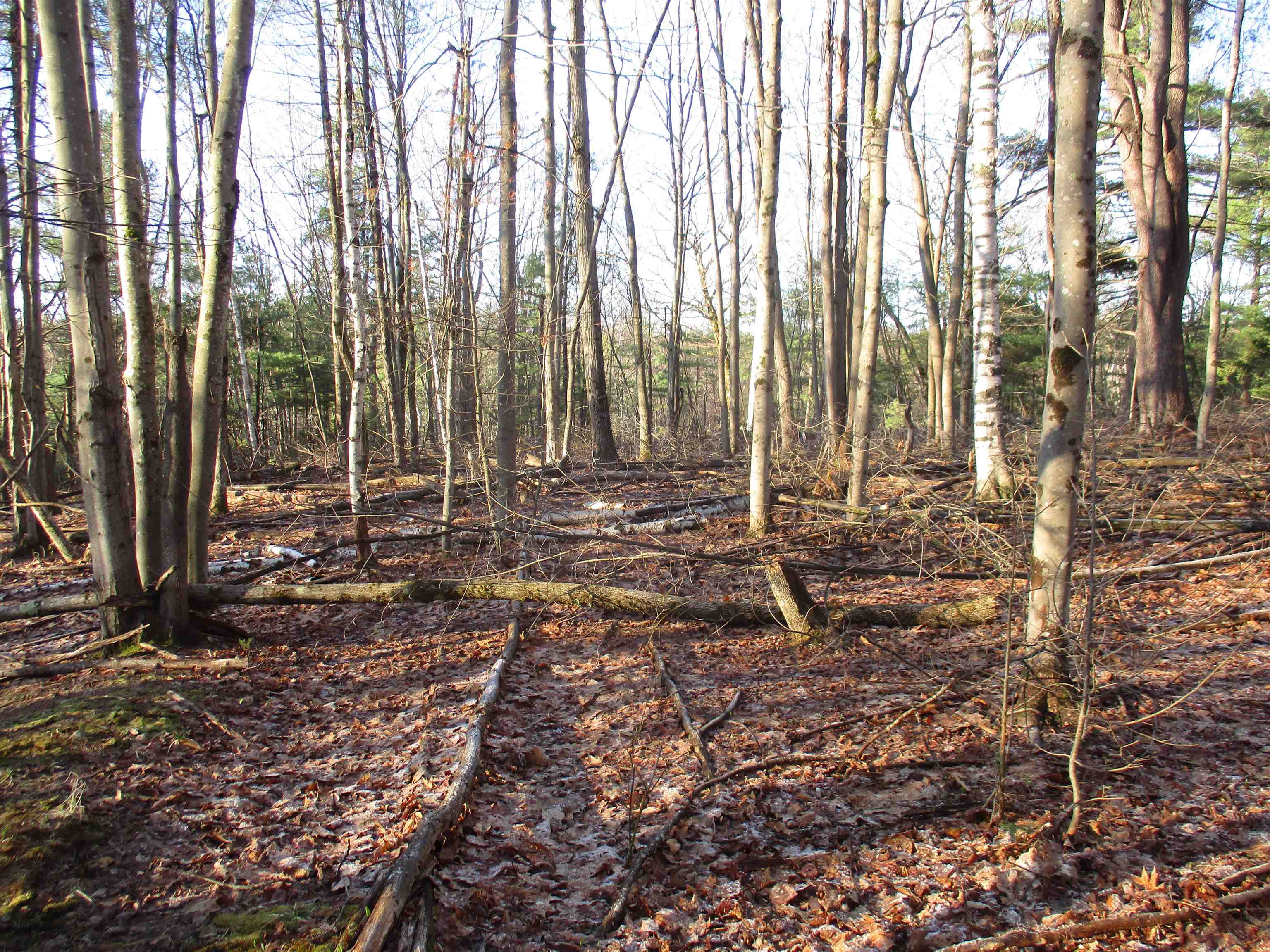 5A-10-5 Farley Ball Rd, Temple, NH 03084