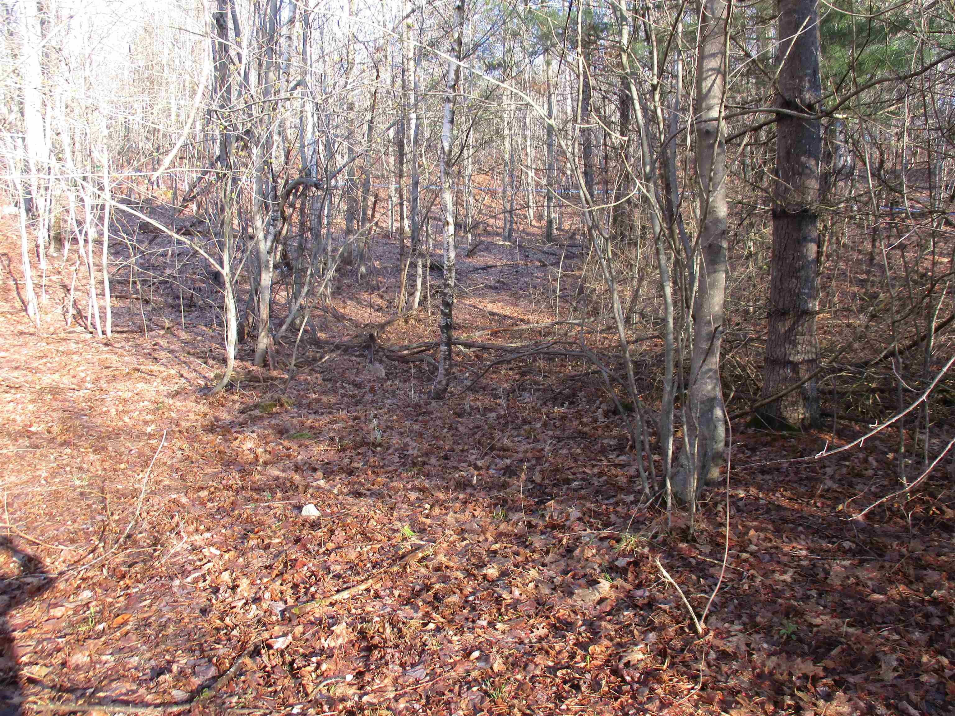 The knoll looking back to the road