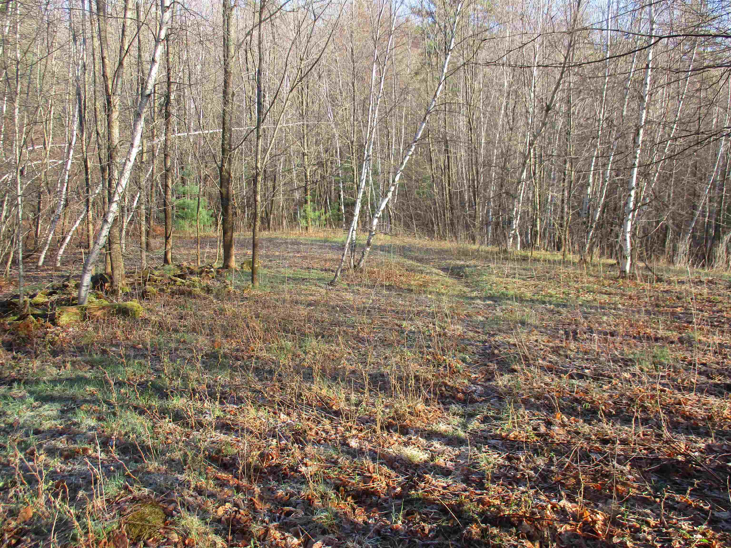 Lower level open area