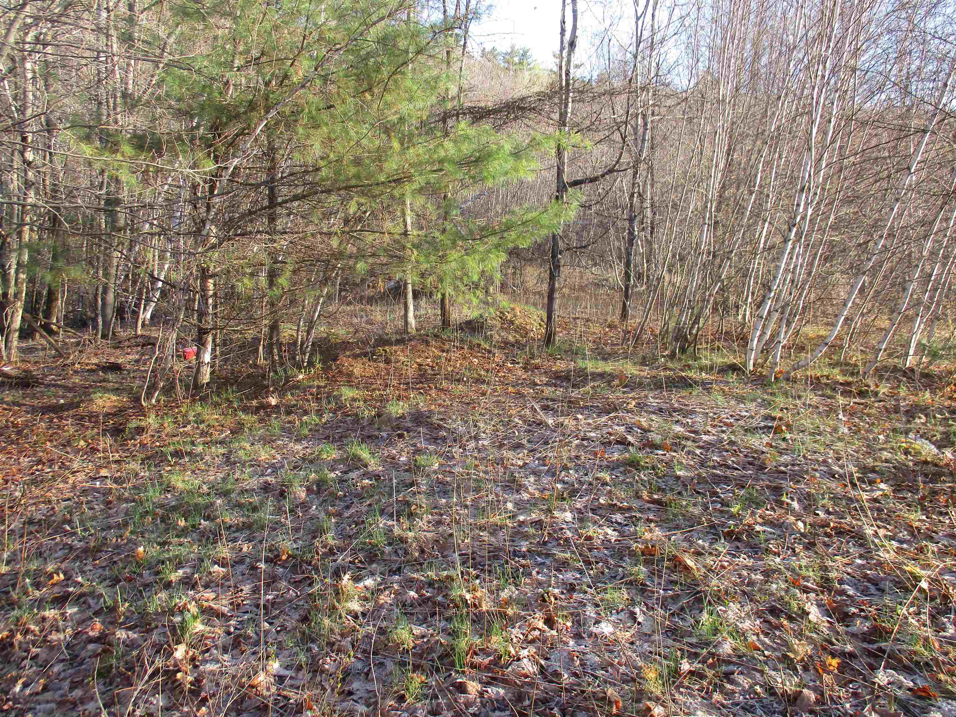 Lower level open area again....