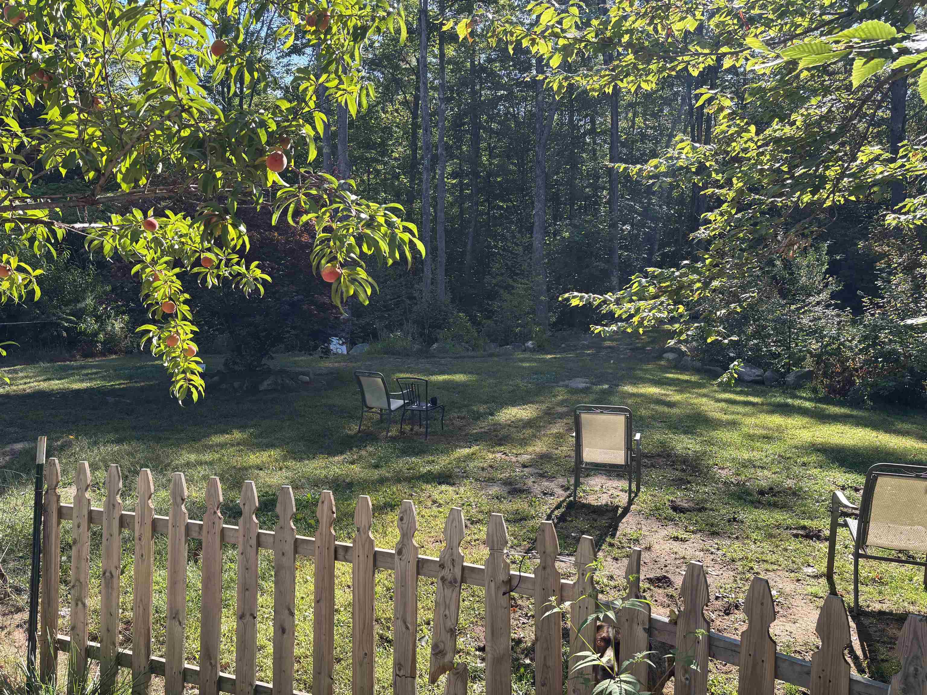 368 Ballards Ridge Rd, Wakefield, NH 03830