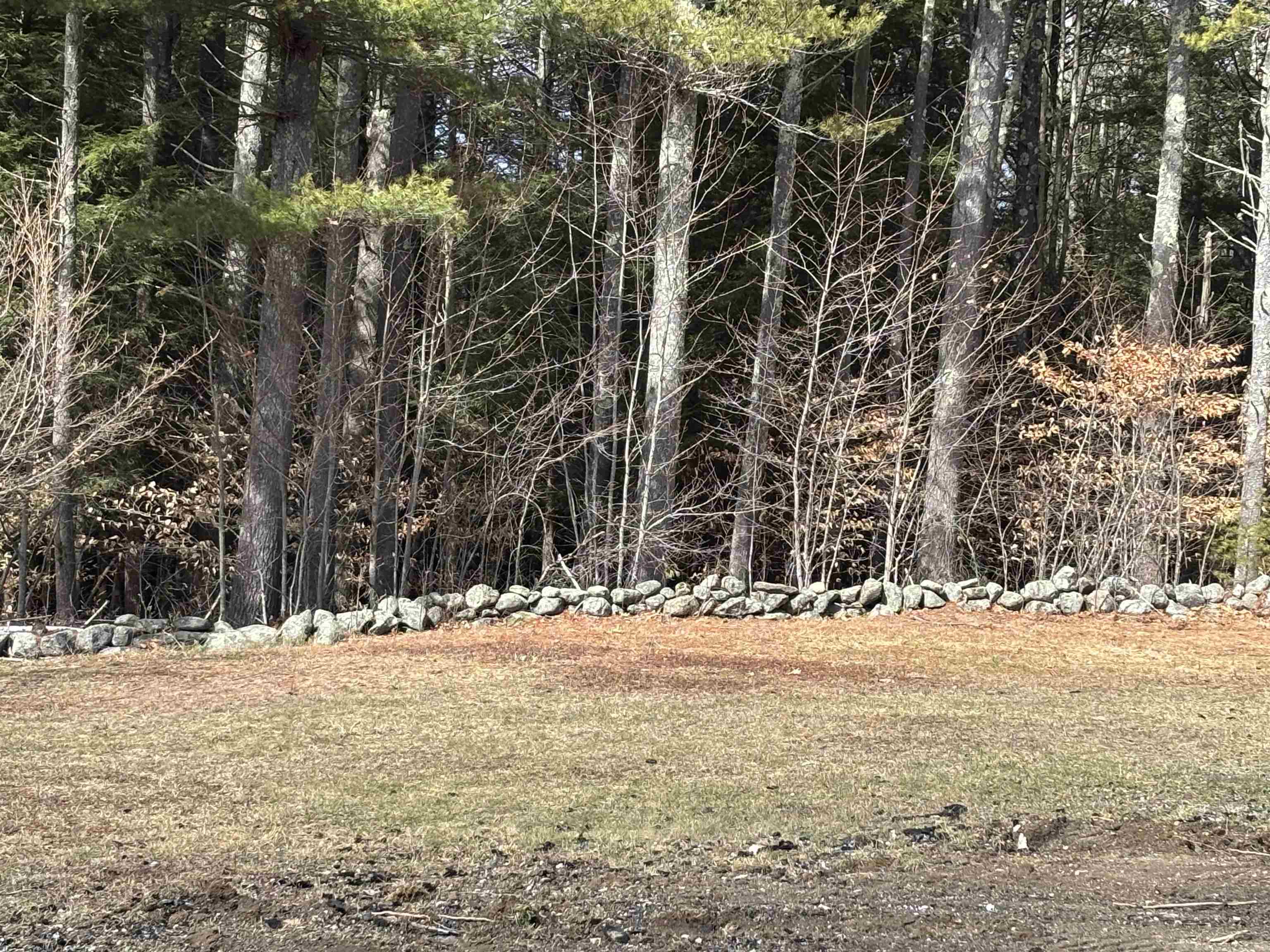 86 Mountain Rd, Greenfield, NH 03047