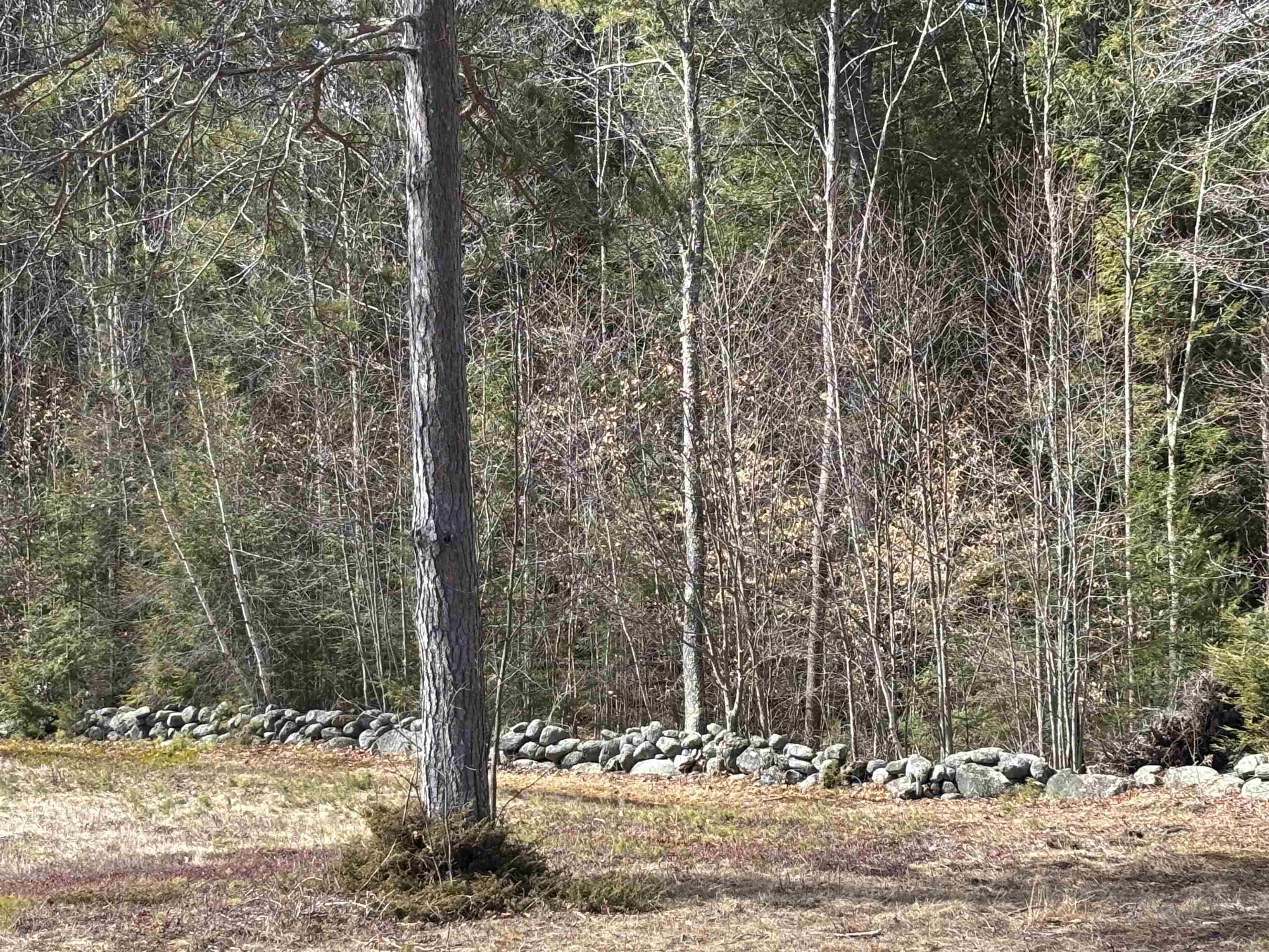 86 Mountain Rd, Greenfield, NH 03047