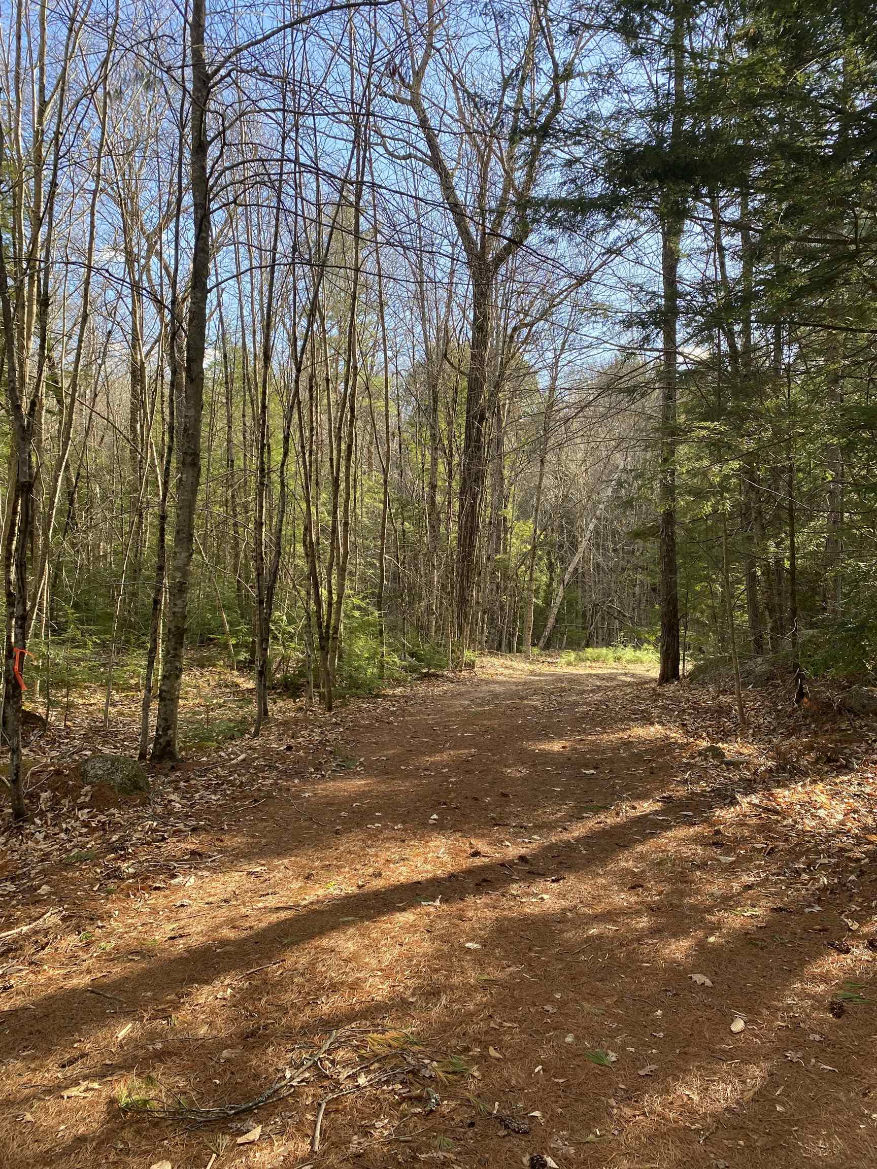 5084543 property image 1