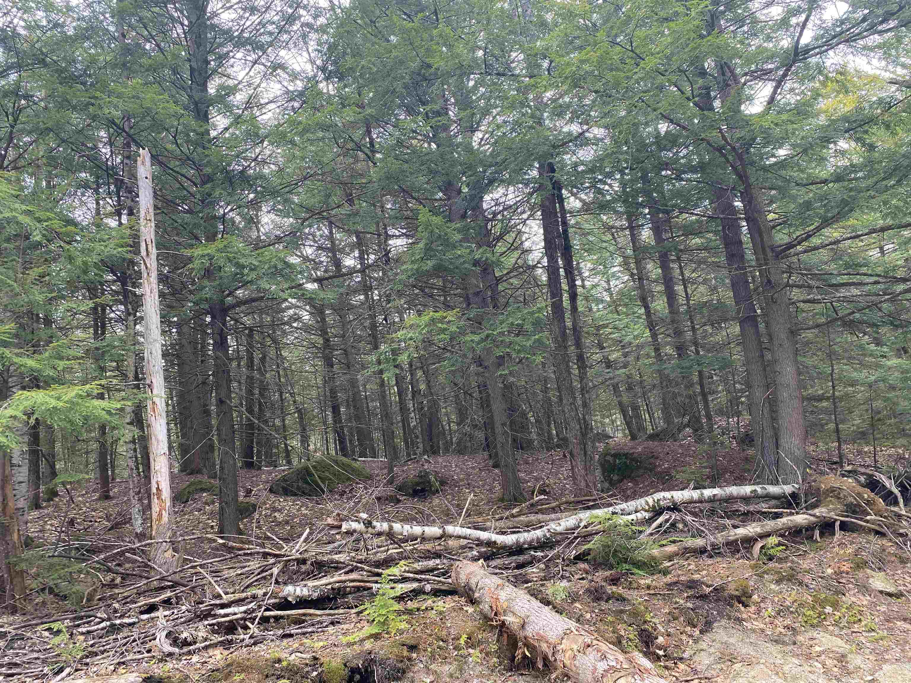 0 Corrigan Way, Windsor, NH 03244