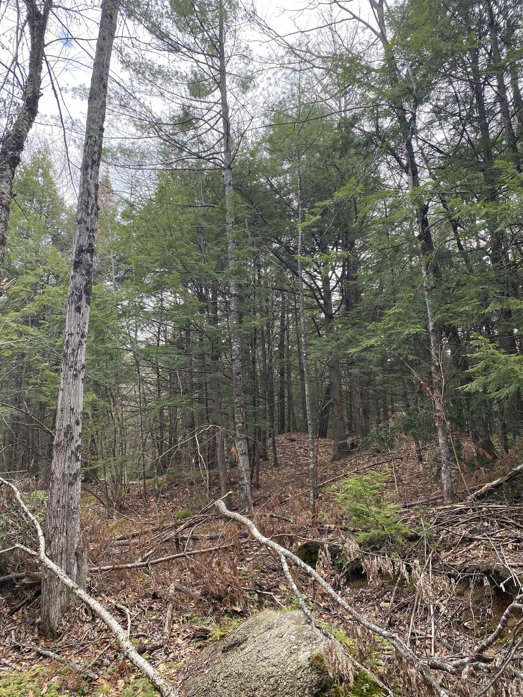 Corrigan Way, Windsor, NH 03244