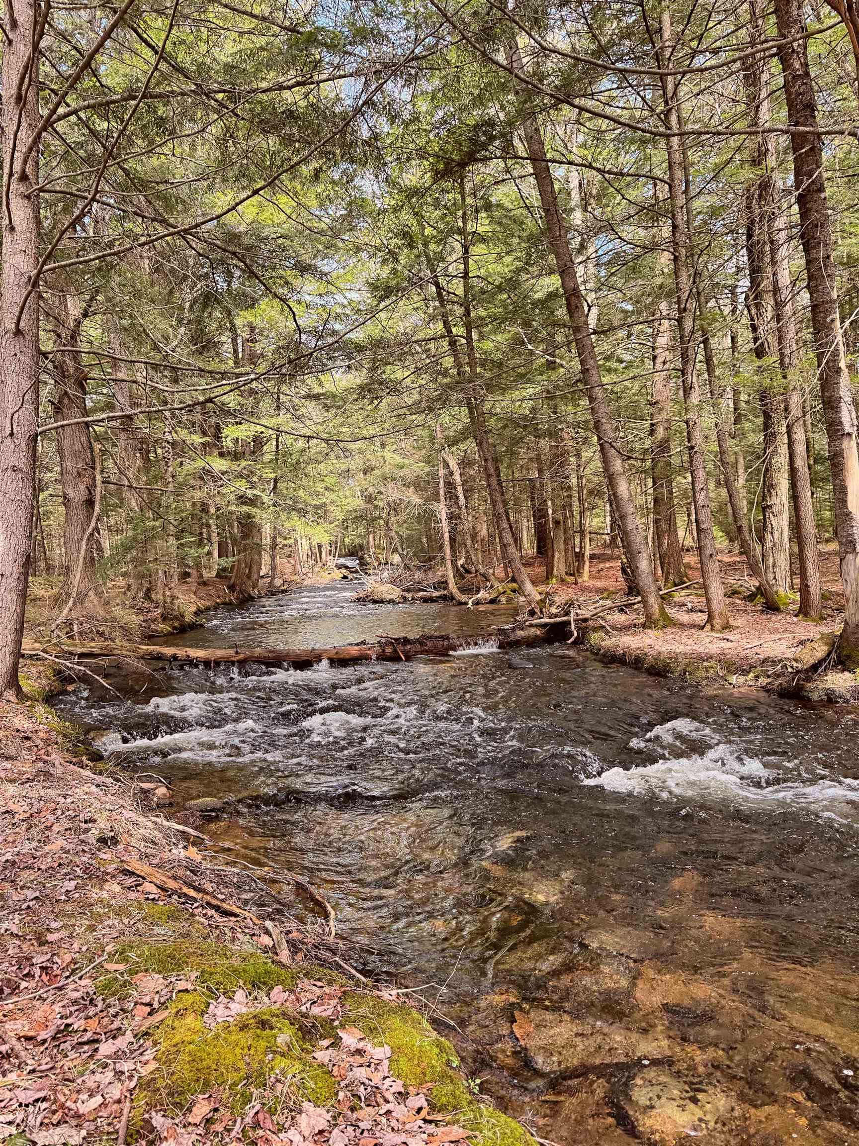 137 Keyes Hollow Rd, Lempster, NH 03605