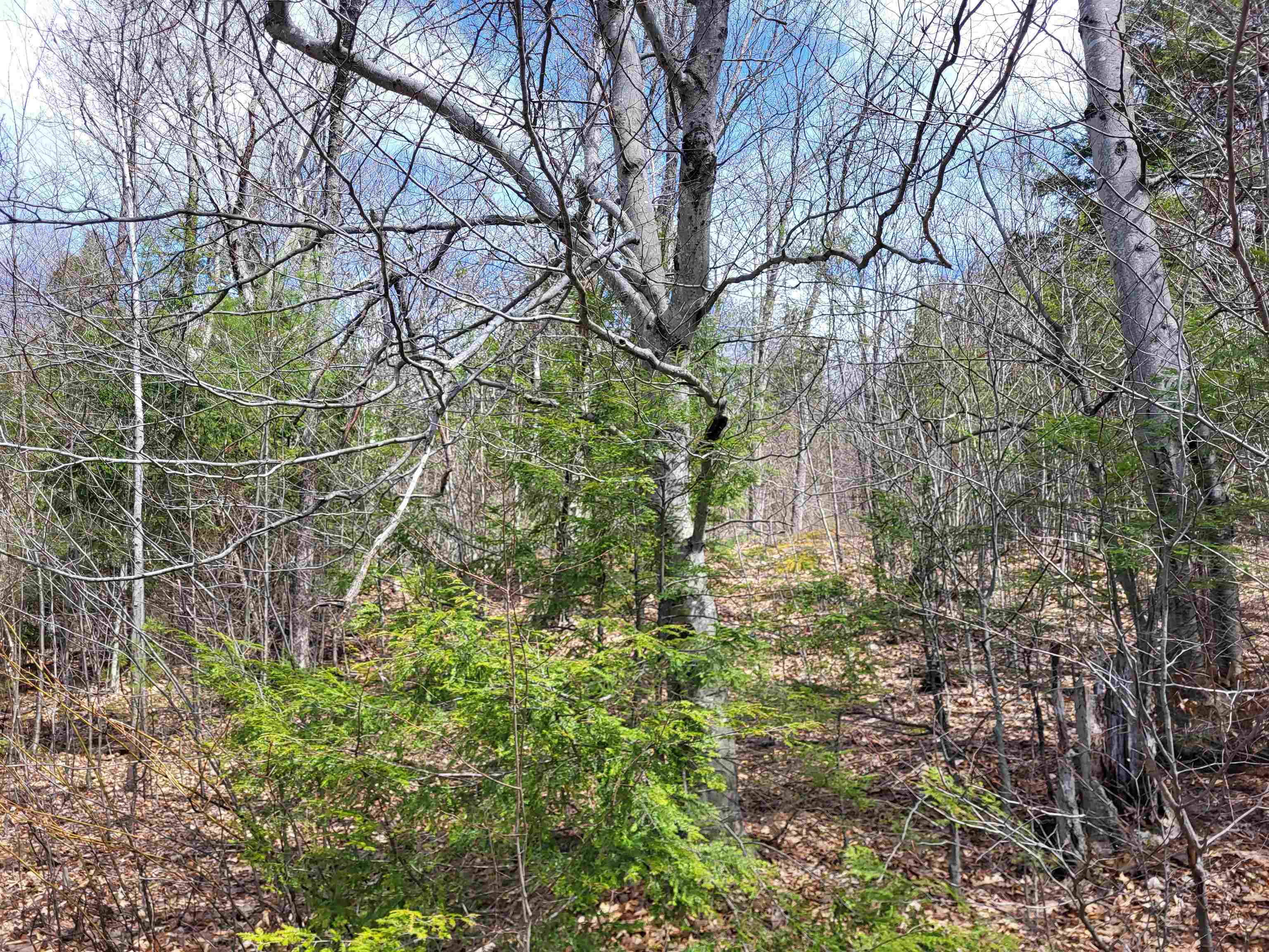 637 Sanborn Rd, Sanbornton, NH 03269