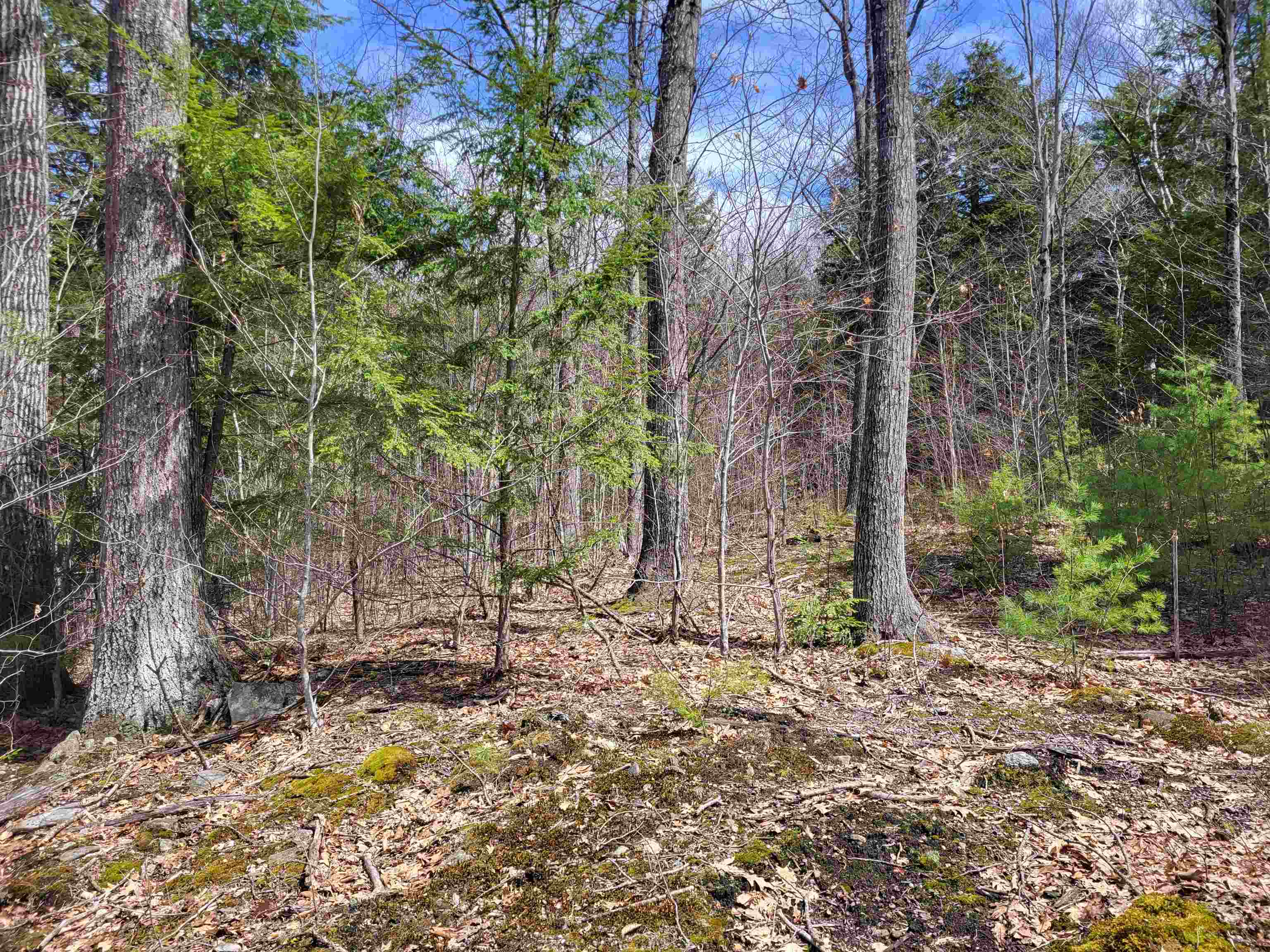 637 Sanborn Rd, Sanbornton, NH 03269