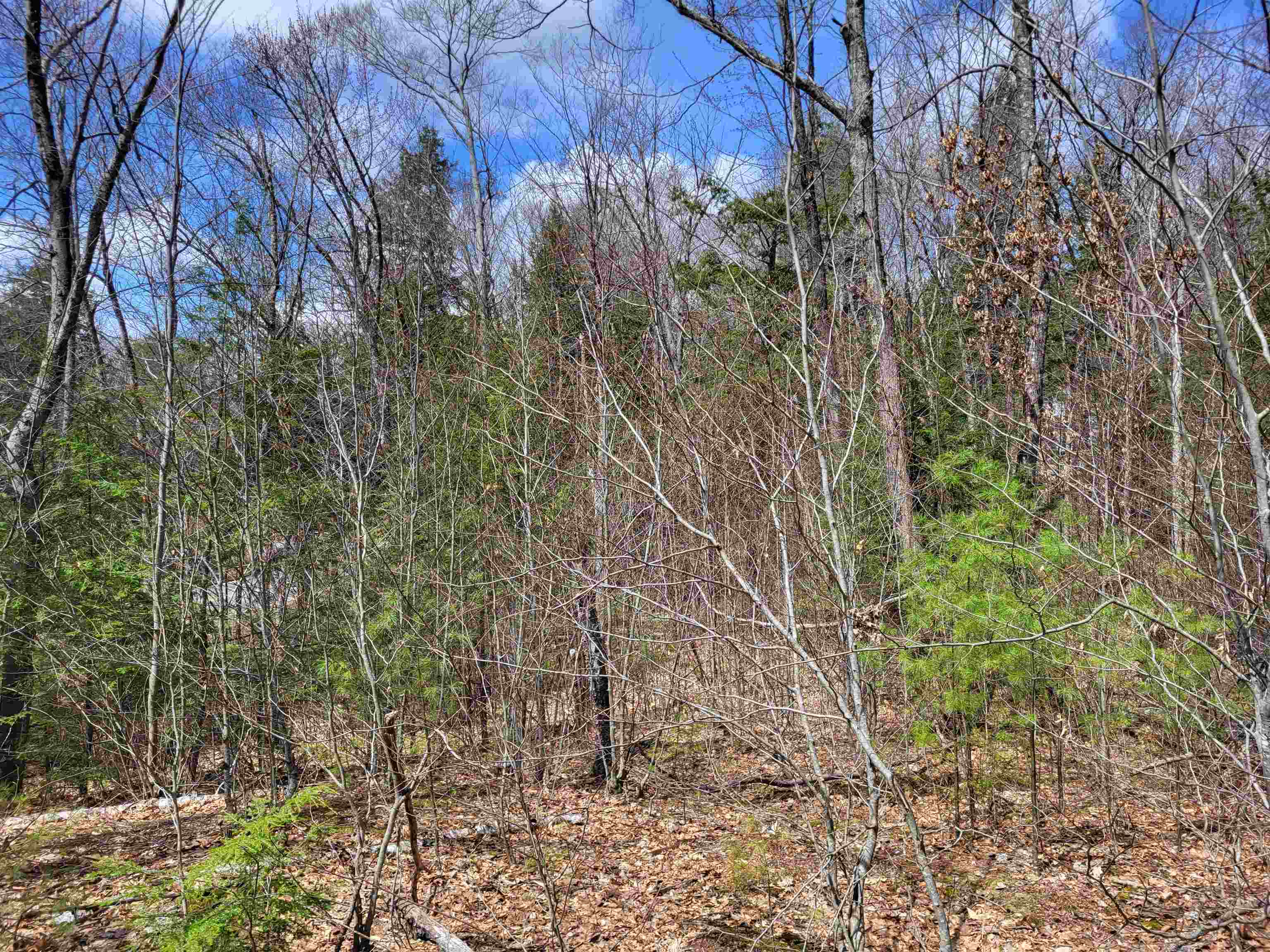 637 Sanborn Rd, Sanbornton, NH 03269