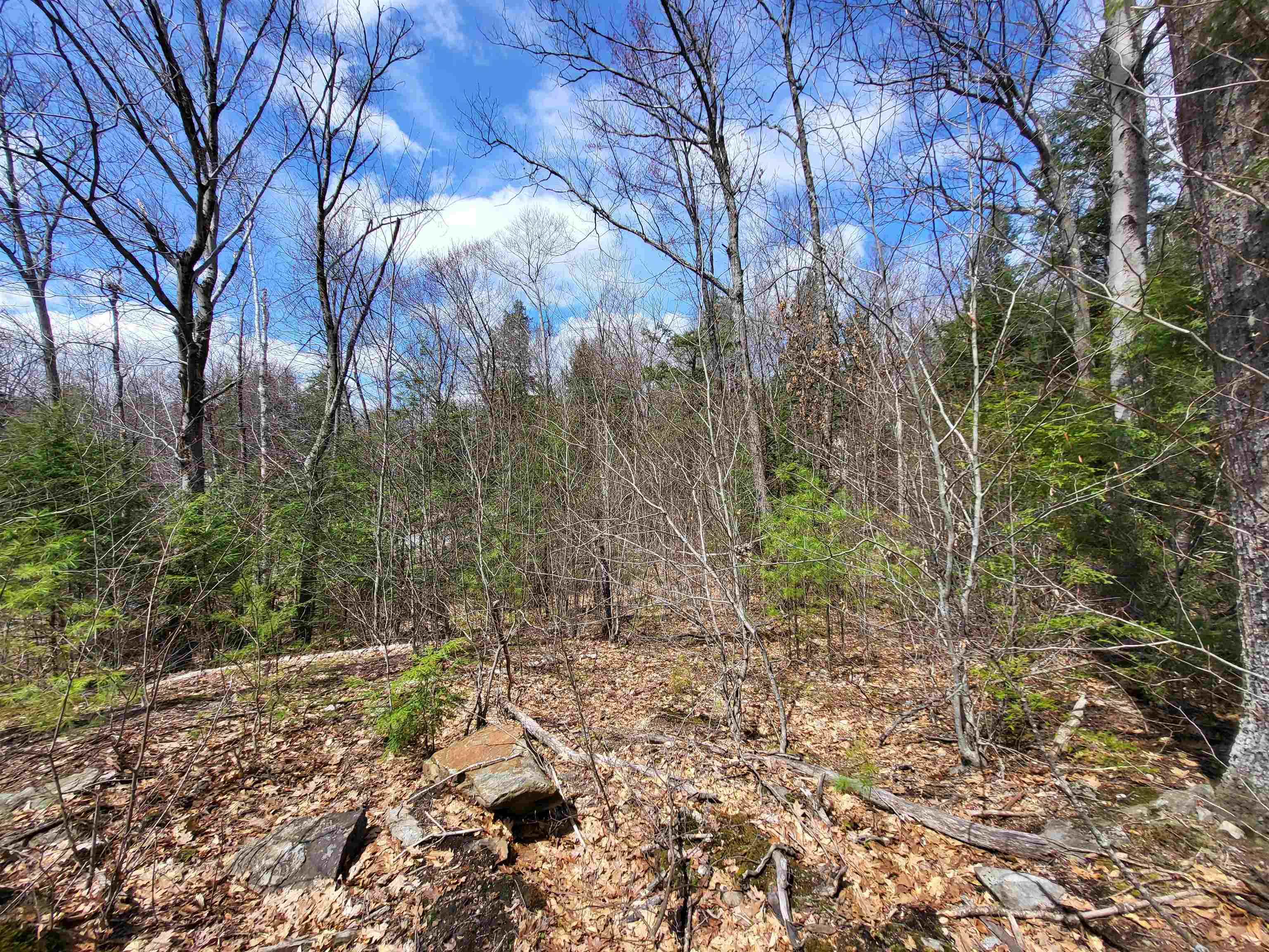 637 Sanborn Rd, Sanbornton, NH 03269