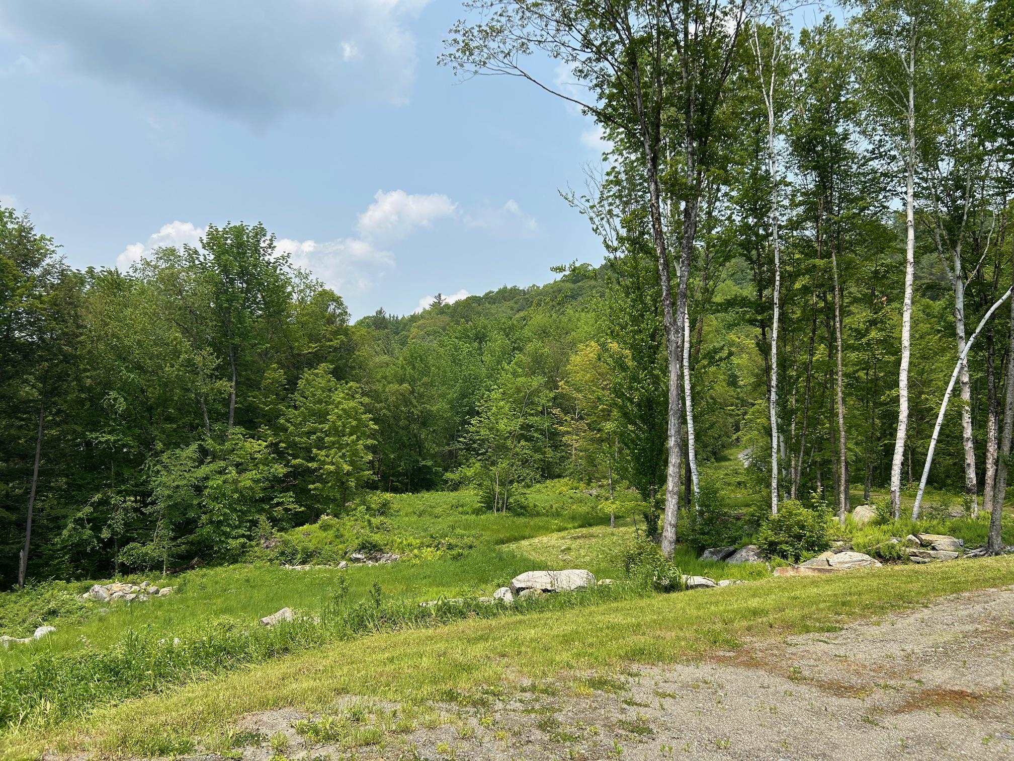 Quiet class 4 road location, on VAST, horse & MB trails. 25070808