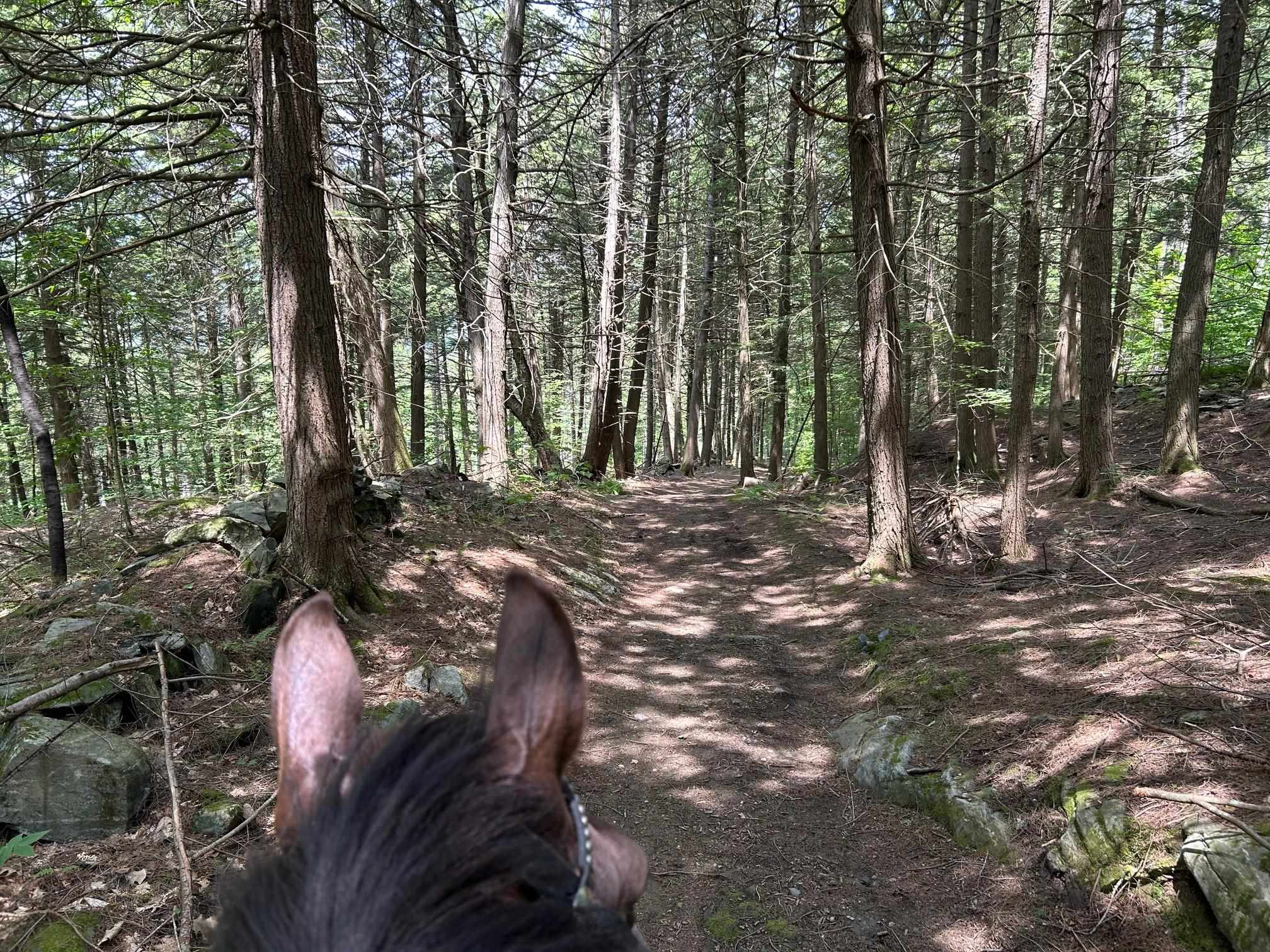 Happy Trails! 25072204