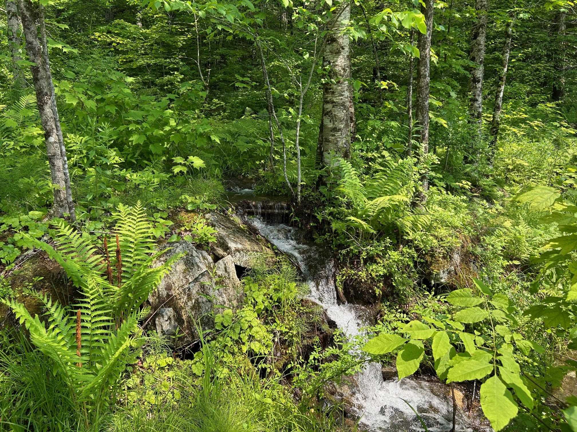 Pretty waterfall 25070799