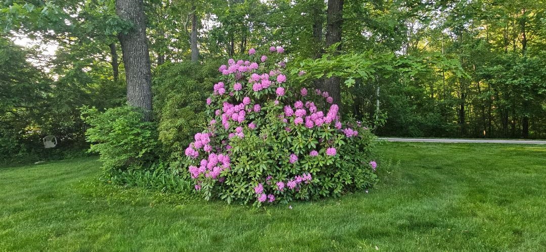 7 Lindon Dr, Brentwood, NH 03833