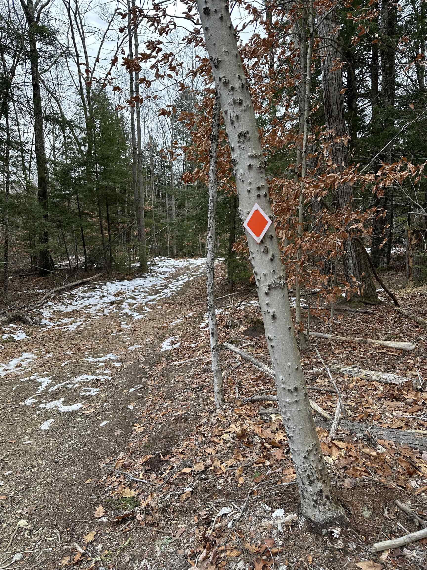 165 Allens Mill Rd, Gilmanton, NH 03237