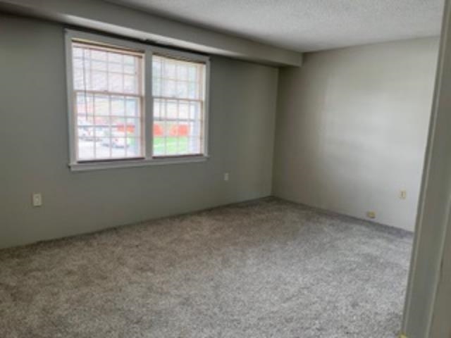 161 Cannongate Iii Dr, Nashua, NH 03063