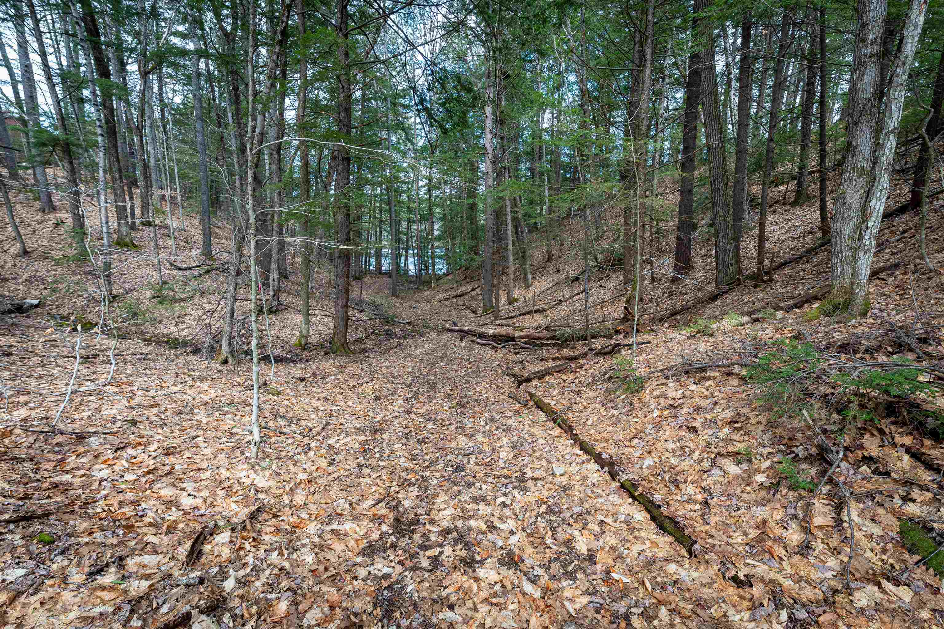 00 Rte 153/ Eaton Rd, Eaton, NH 03832