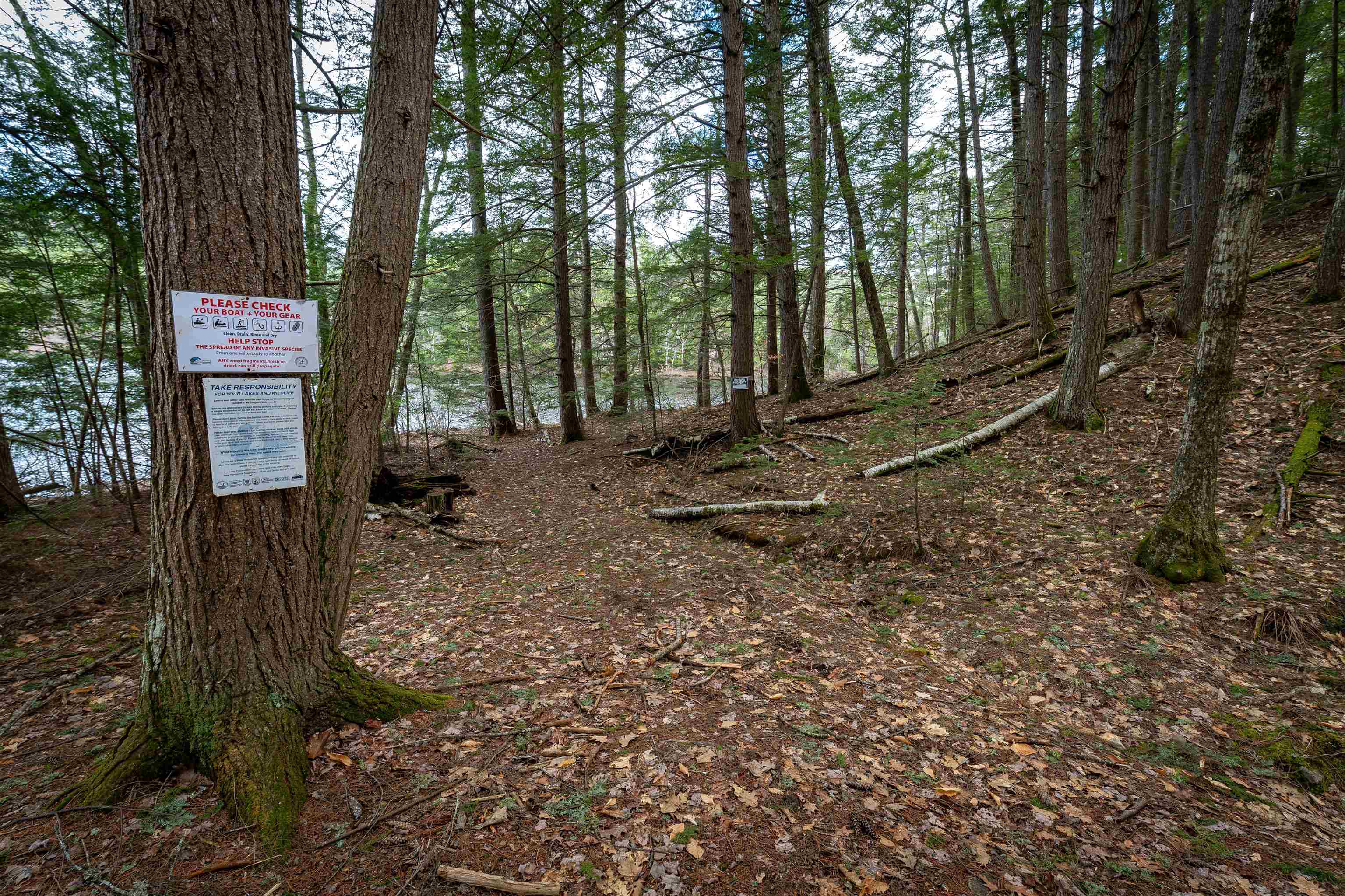 00 Rte 153/ Eaton Rd, Eaton, NH 03832