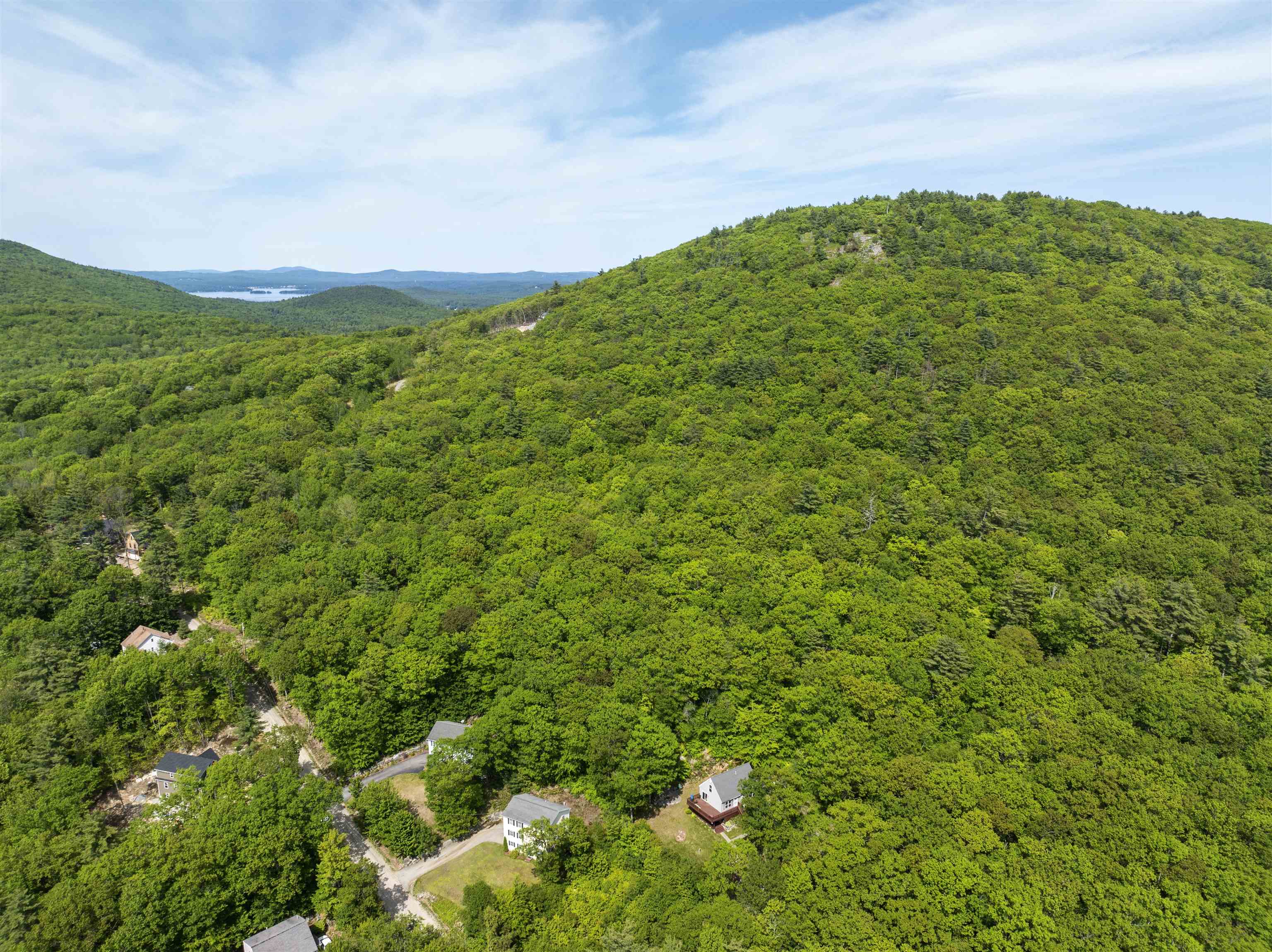 19 Wendy Drive — photo 3