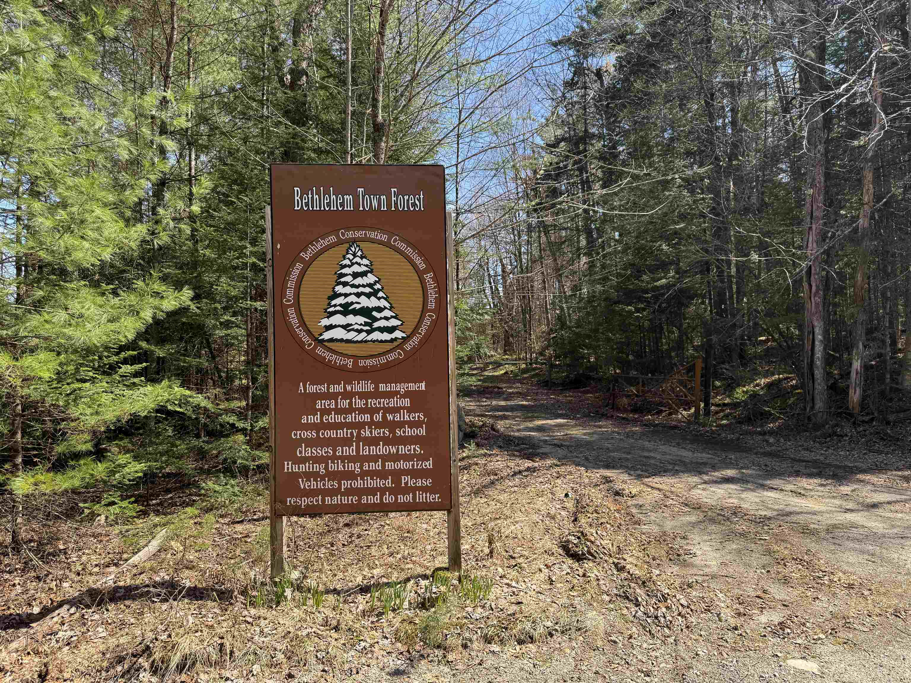 Bethlehem Town Forest Nearby