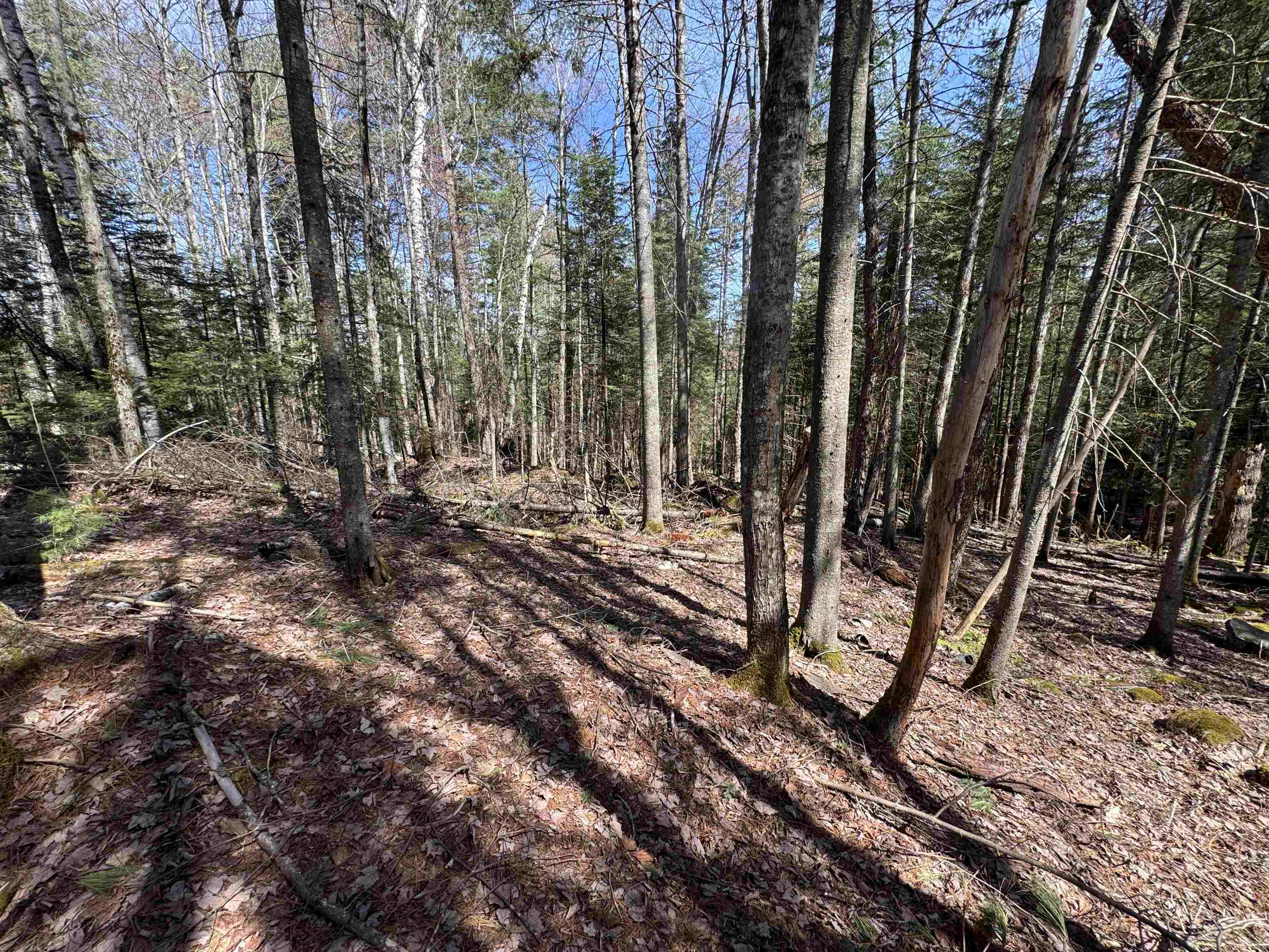 00 Prospect St, Bethlehem, NH 03574