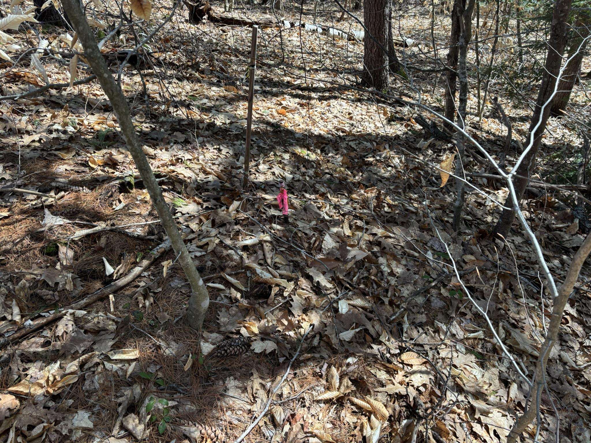 143 Holly Ridge Ln, Conway, NH 03818