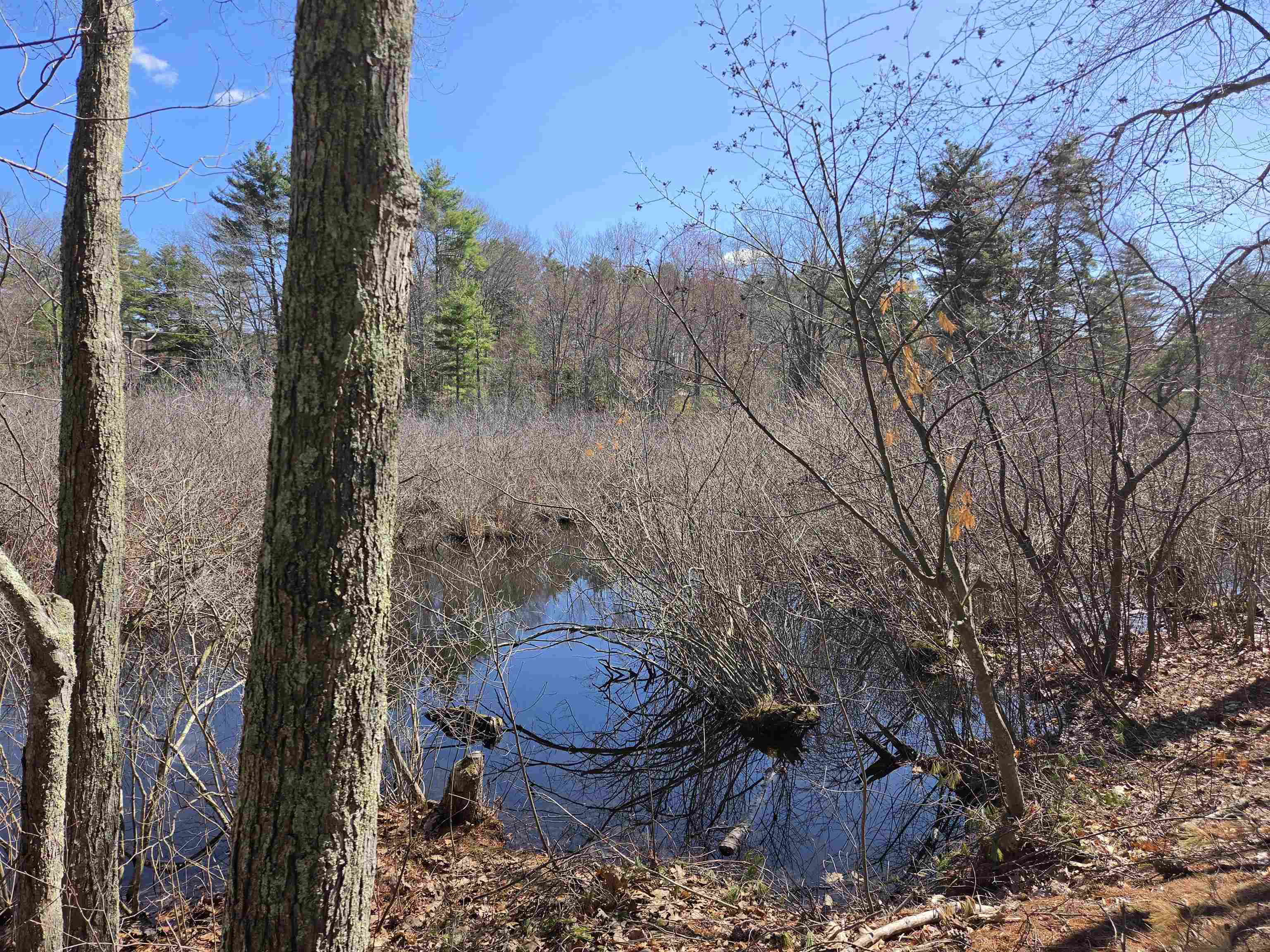 22 Tokanel Rd, Windham, NH 03087