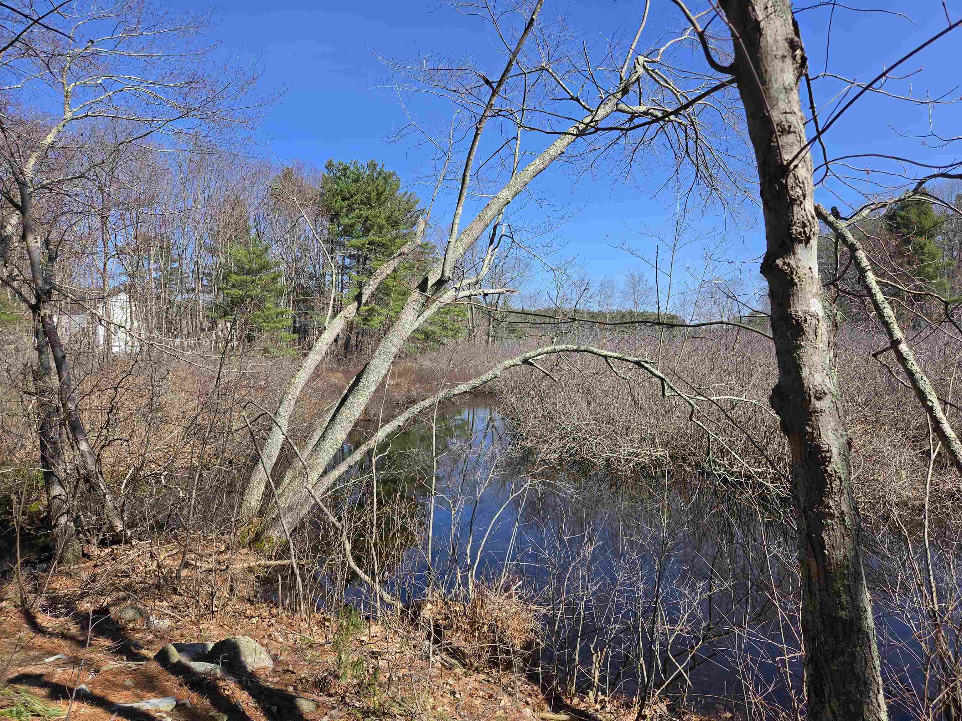 22 Tokanel Rd, Windham, NH 03087