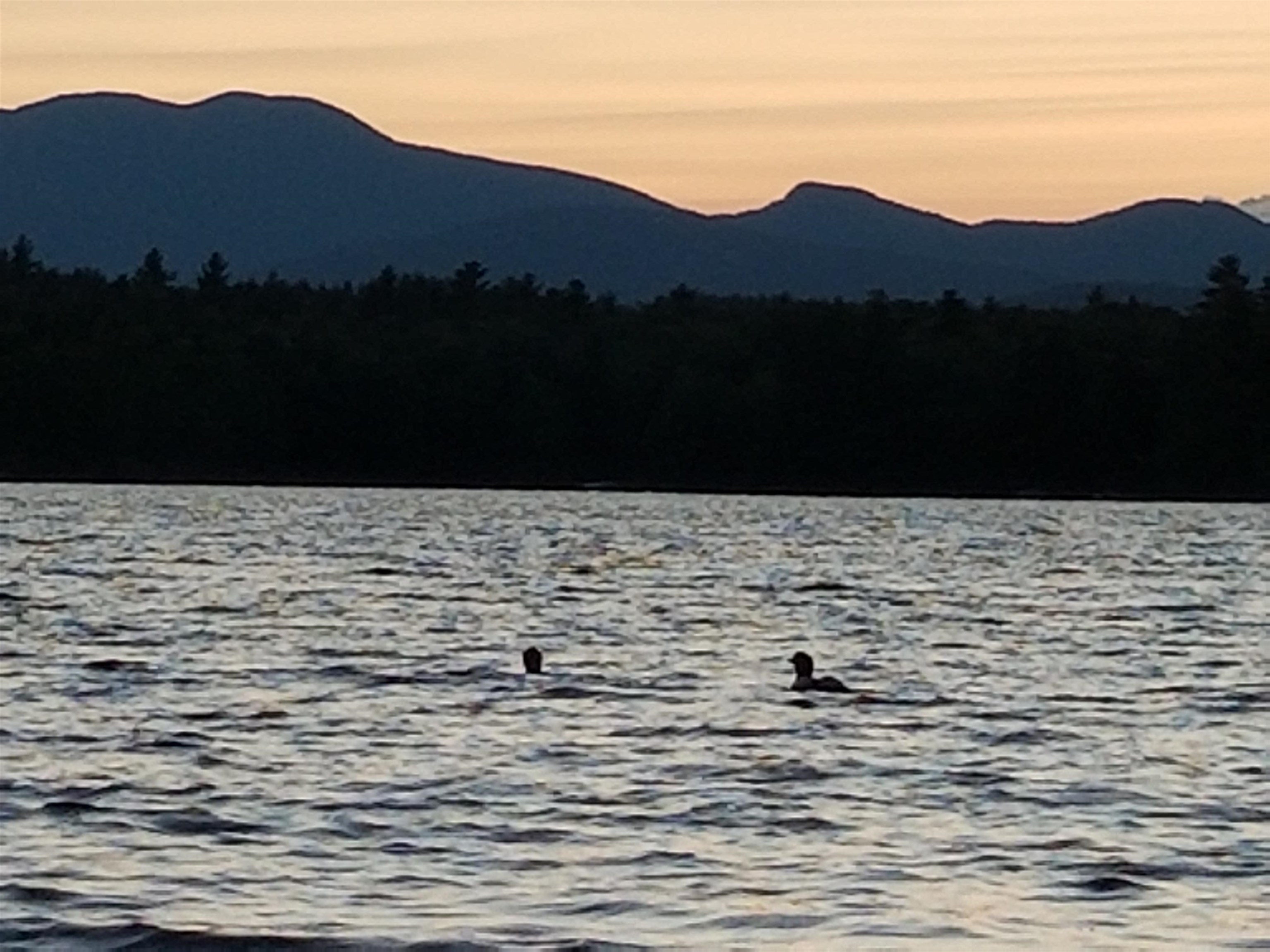 134 - 136 Brownfield Rd, Conway, NH 03813