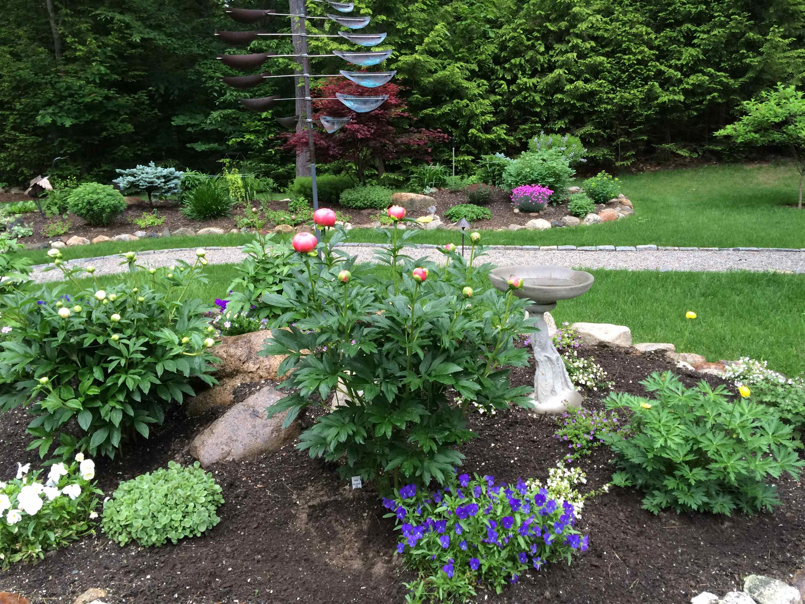 Gardens in Bloom (Summer 2025)