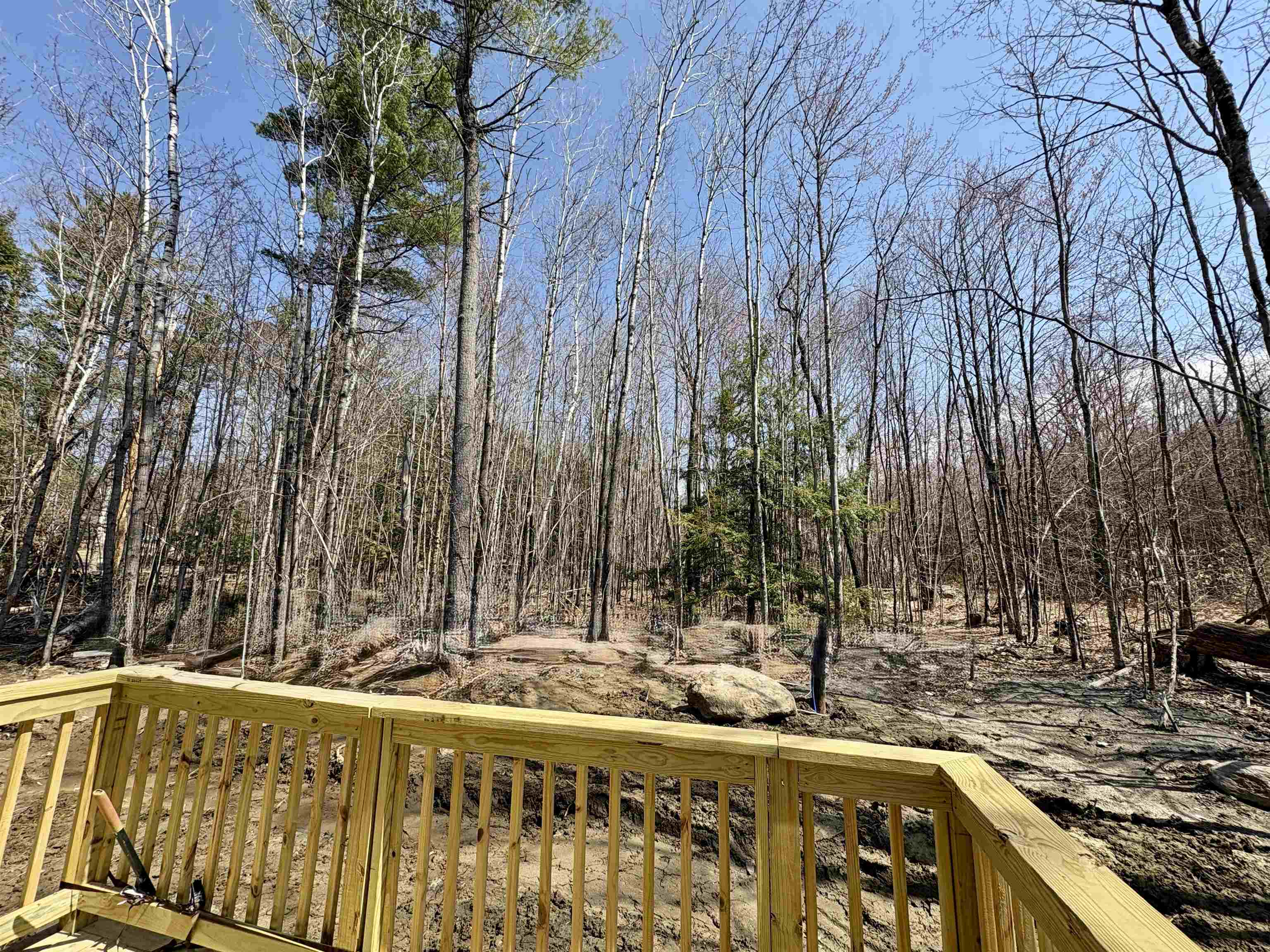 view from the side deck 24927522