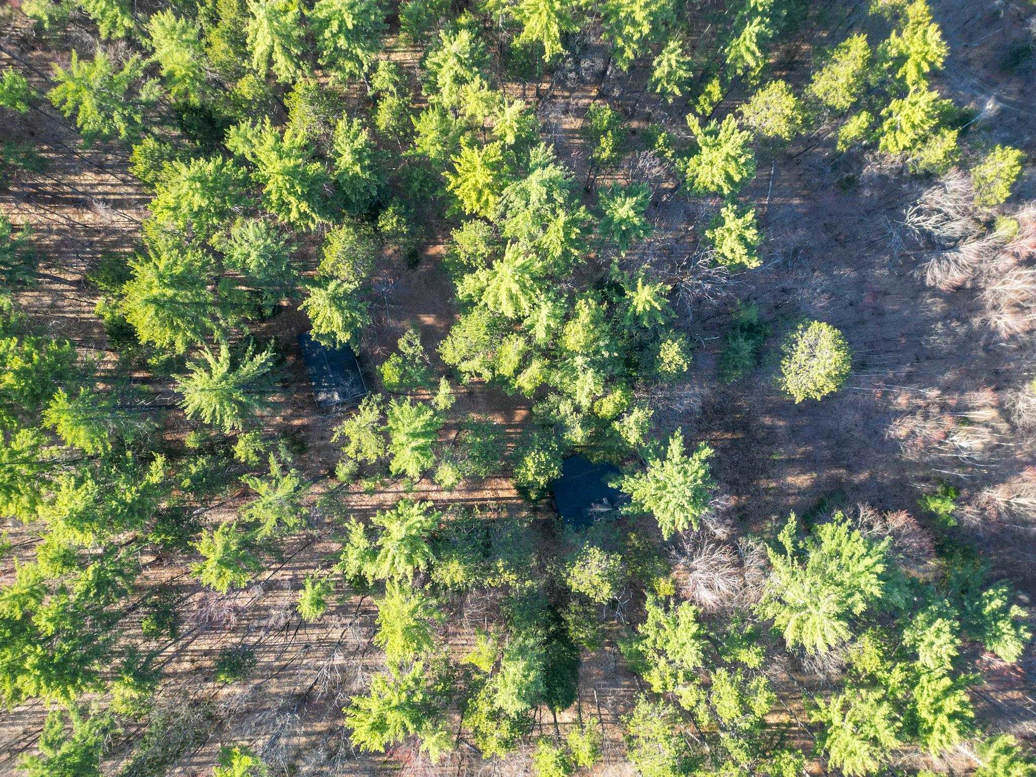 2500 West Side Rd, Conway, NH 03860