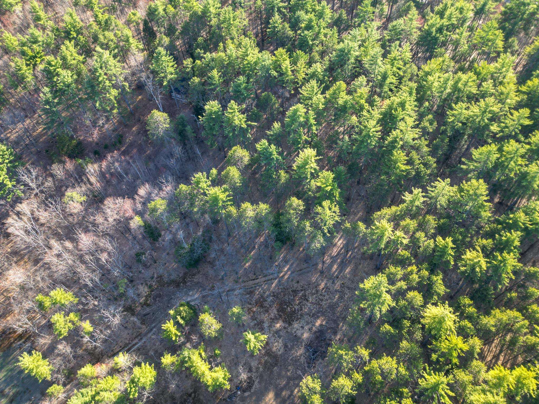 2500 West Side Rd, Conway, NH 03860