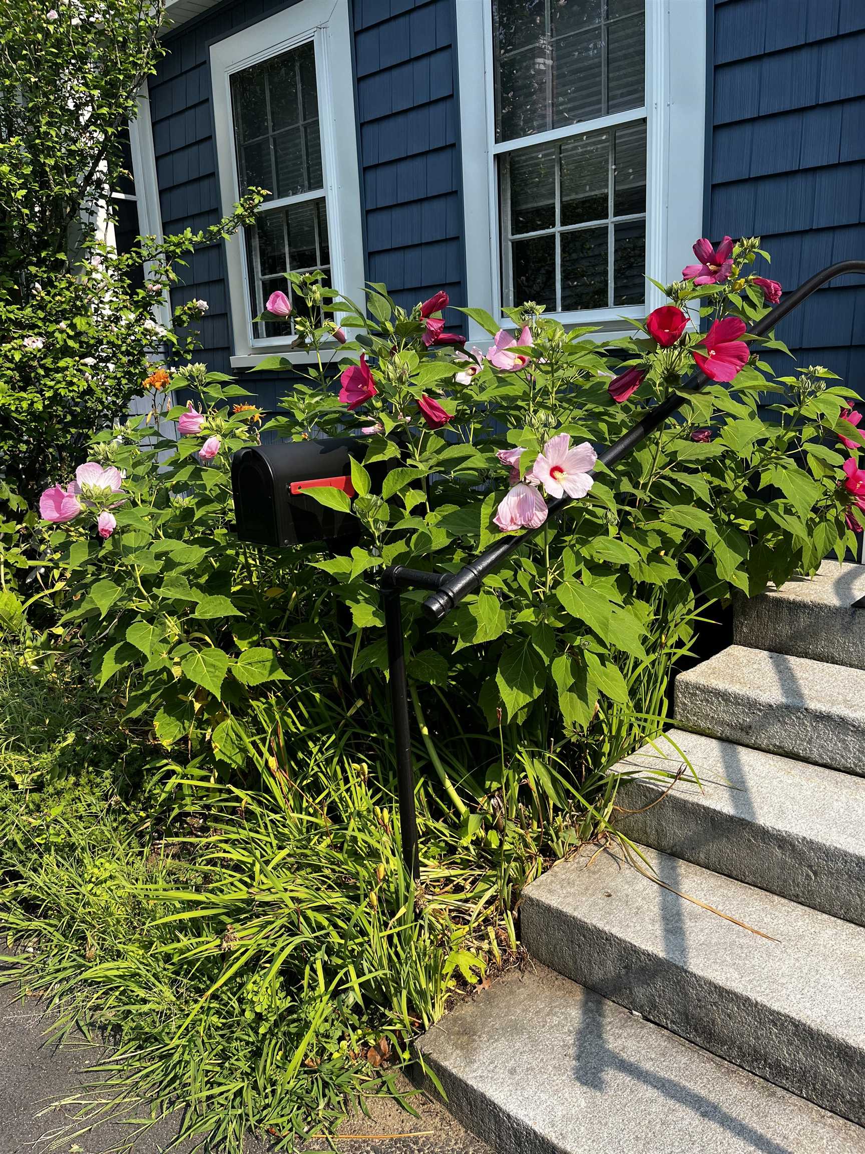 36 12 S Spring St, Concord, NH 03301