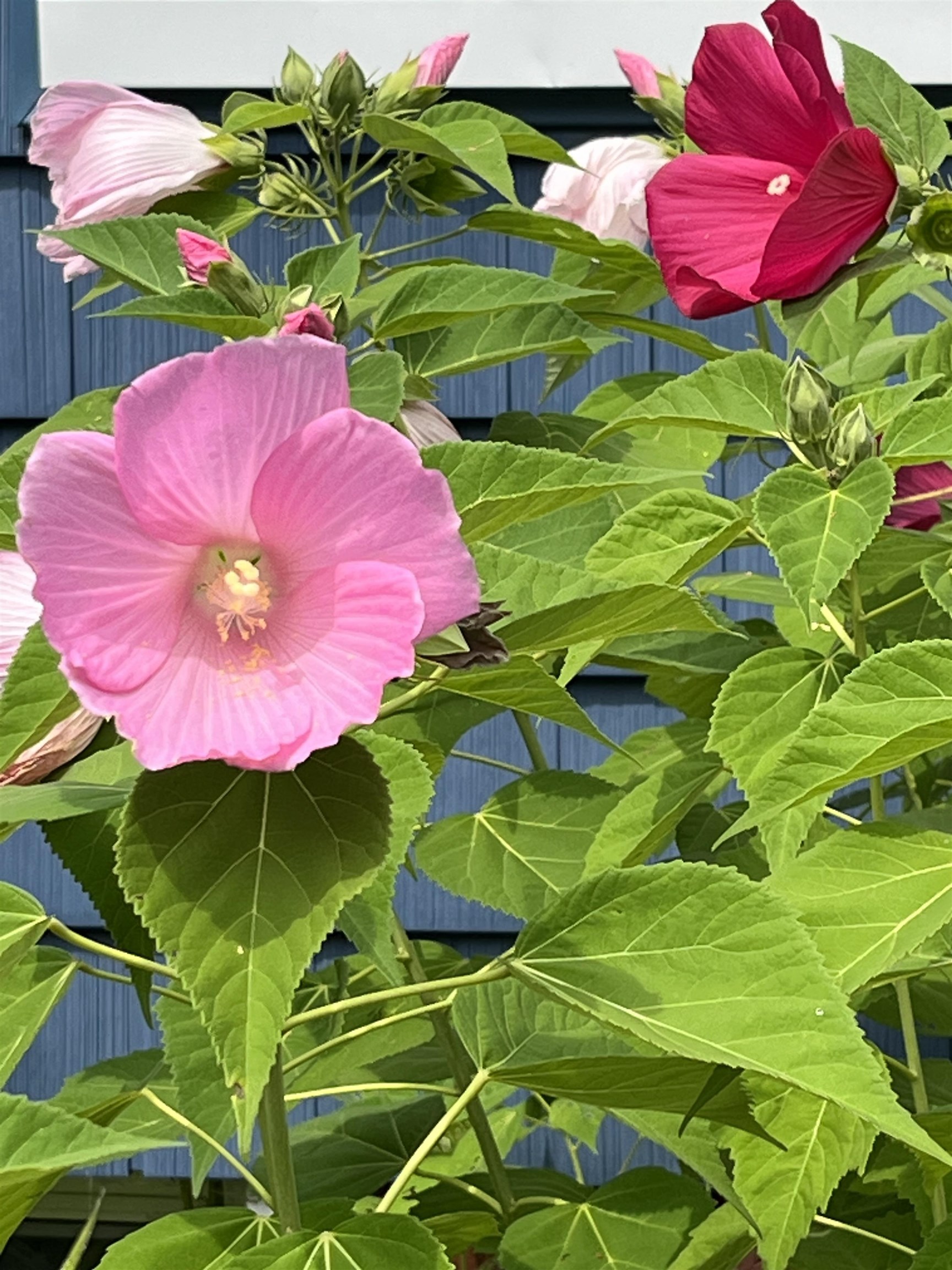 36 12 S Spring St, Concord, NH 03301