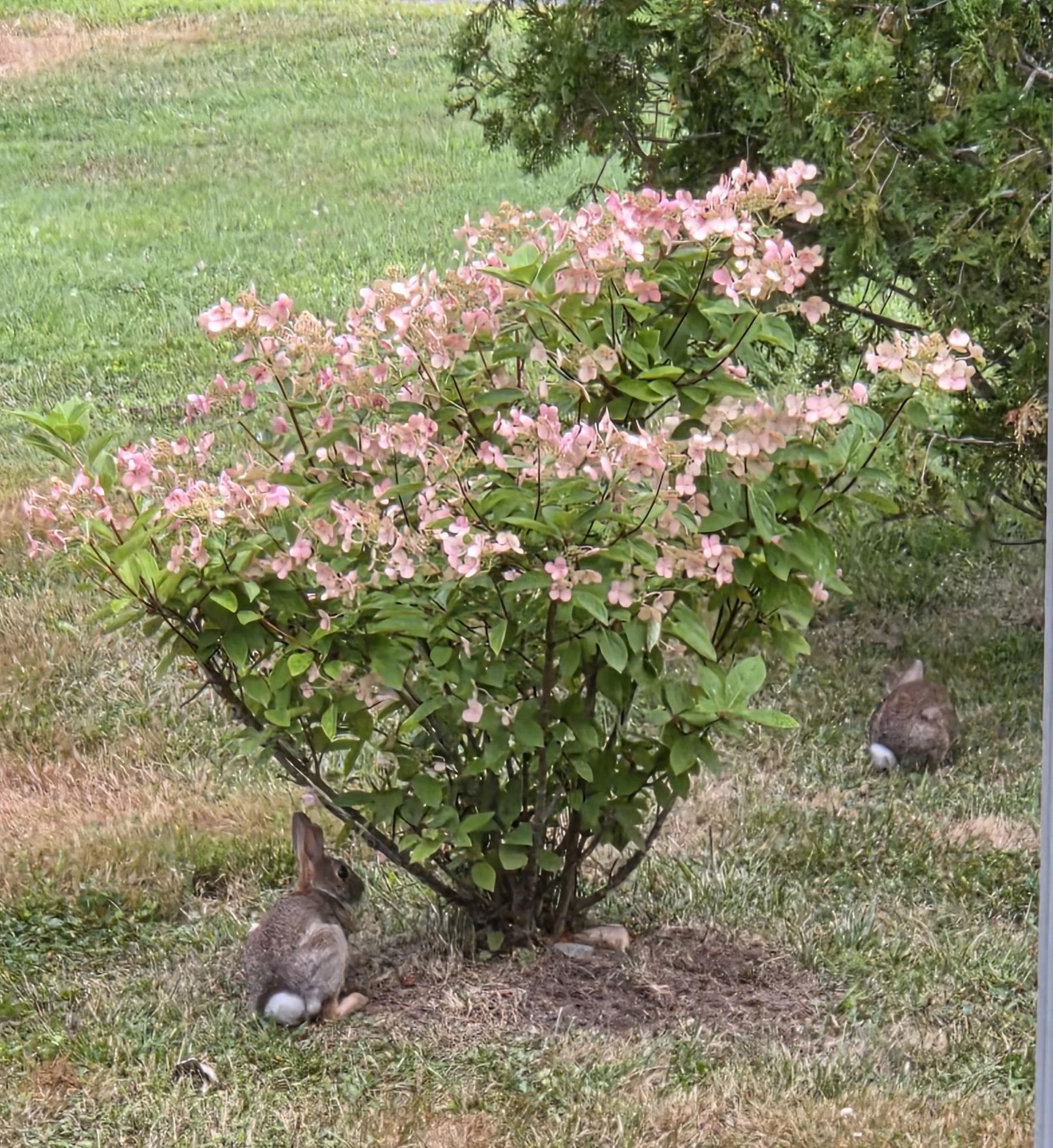 2 Woodland Pk, Troy, NH 03465