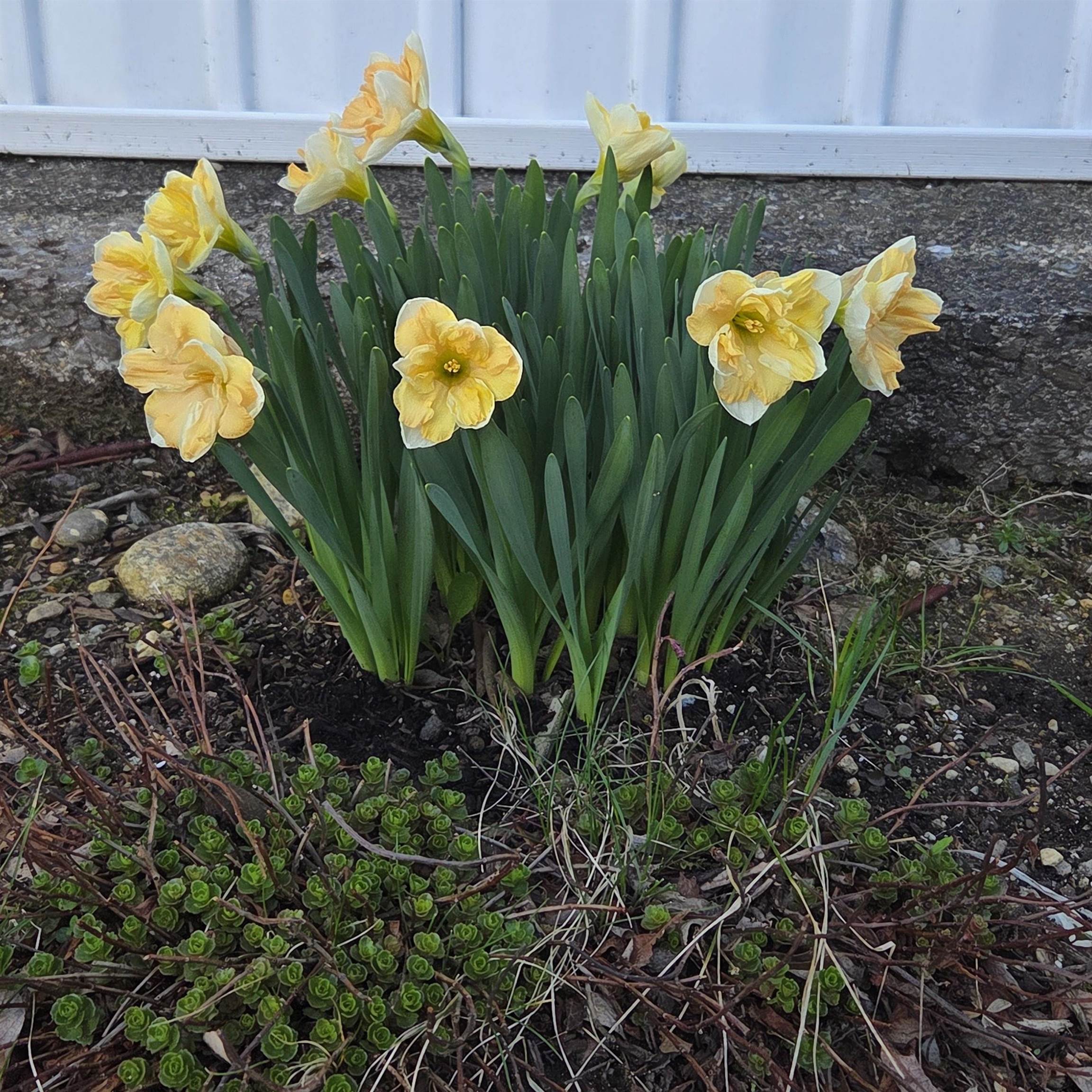 2 Woodland Pk, Troy, NH 03465