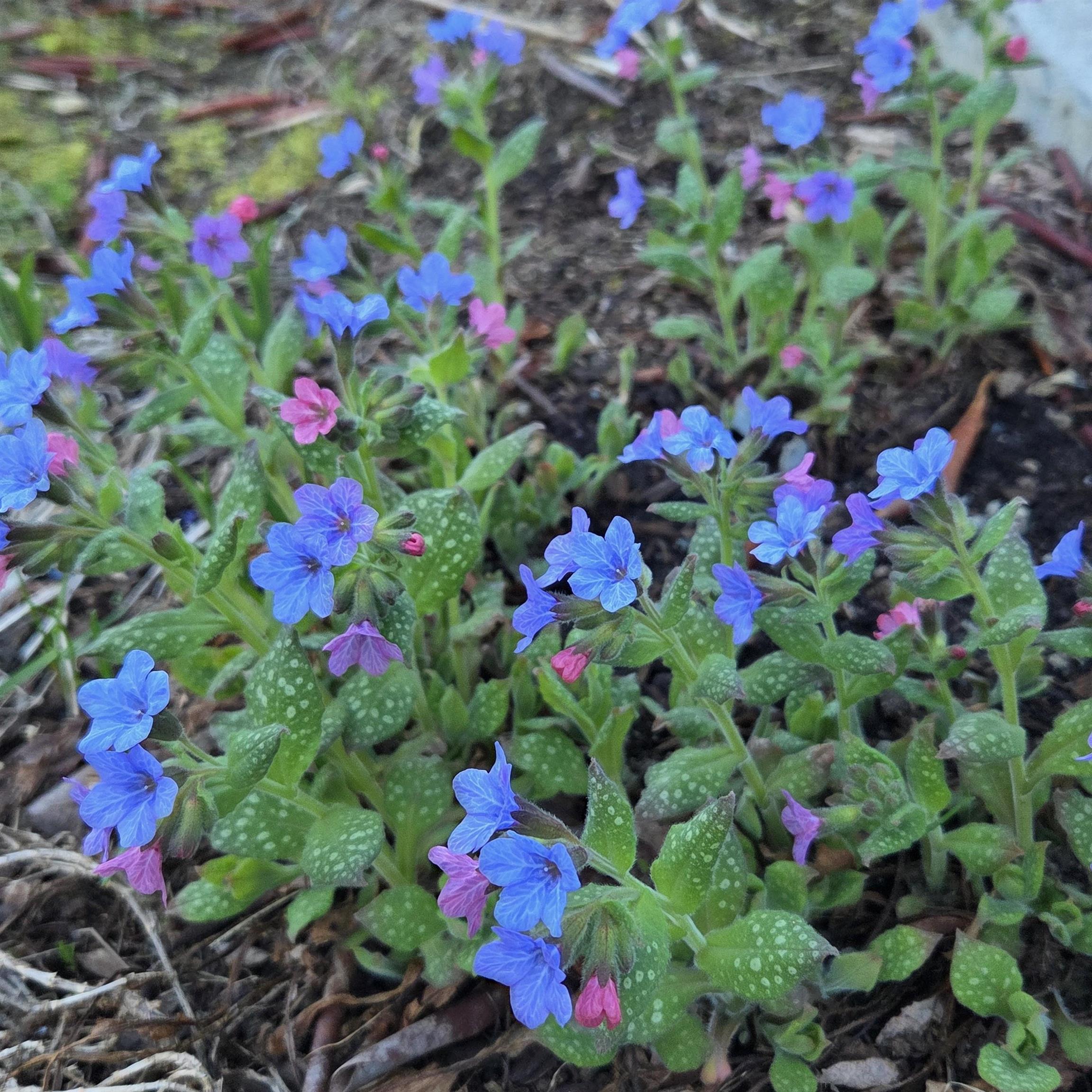 2 Woodland Pk, Troy, NH 03465