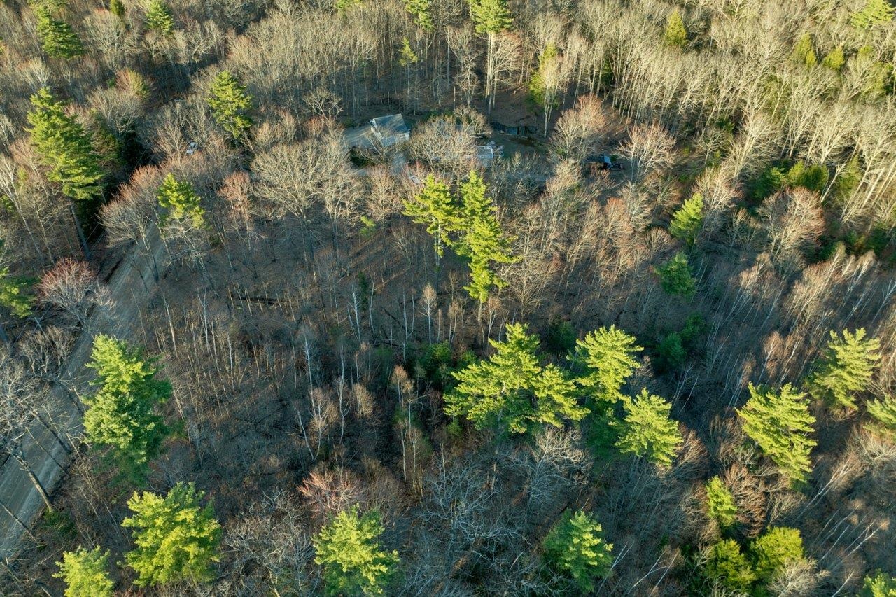 R31-8 Hermit Woods Road — photo 2