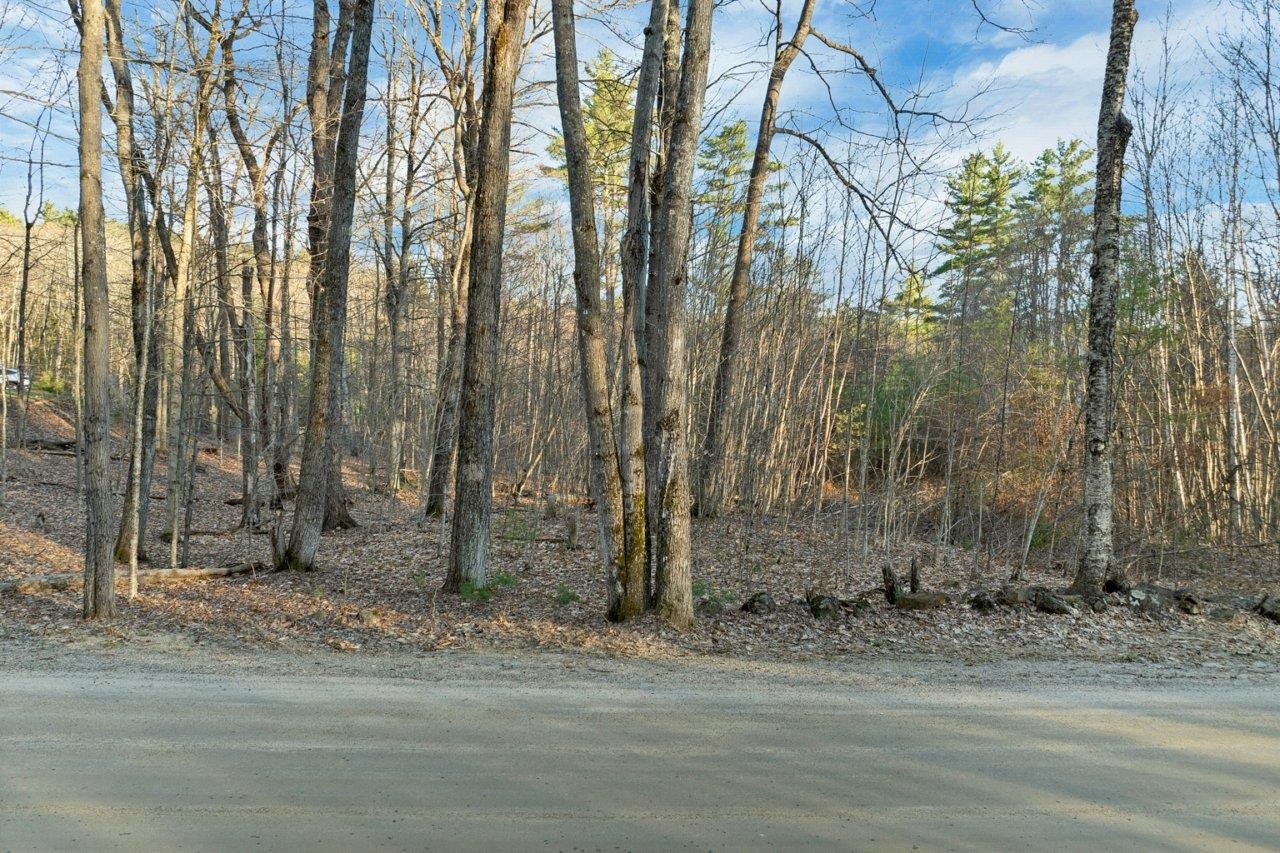 R31-8 Hermit Woods Road — photo 3