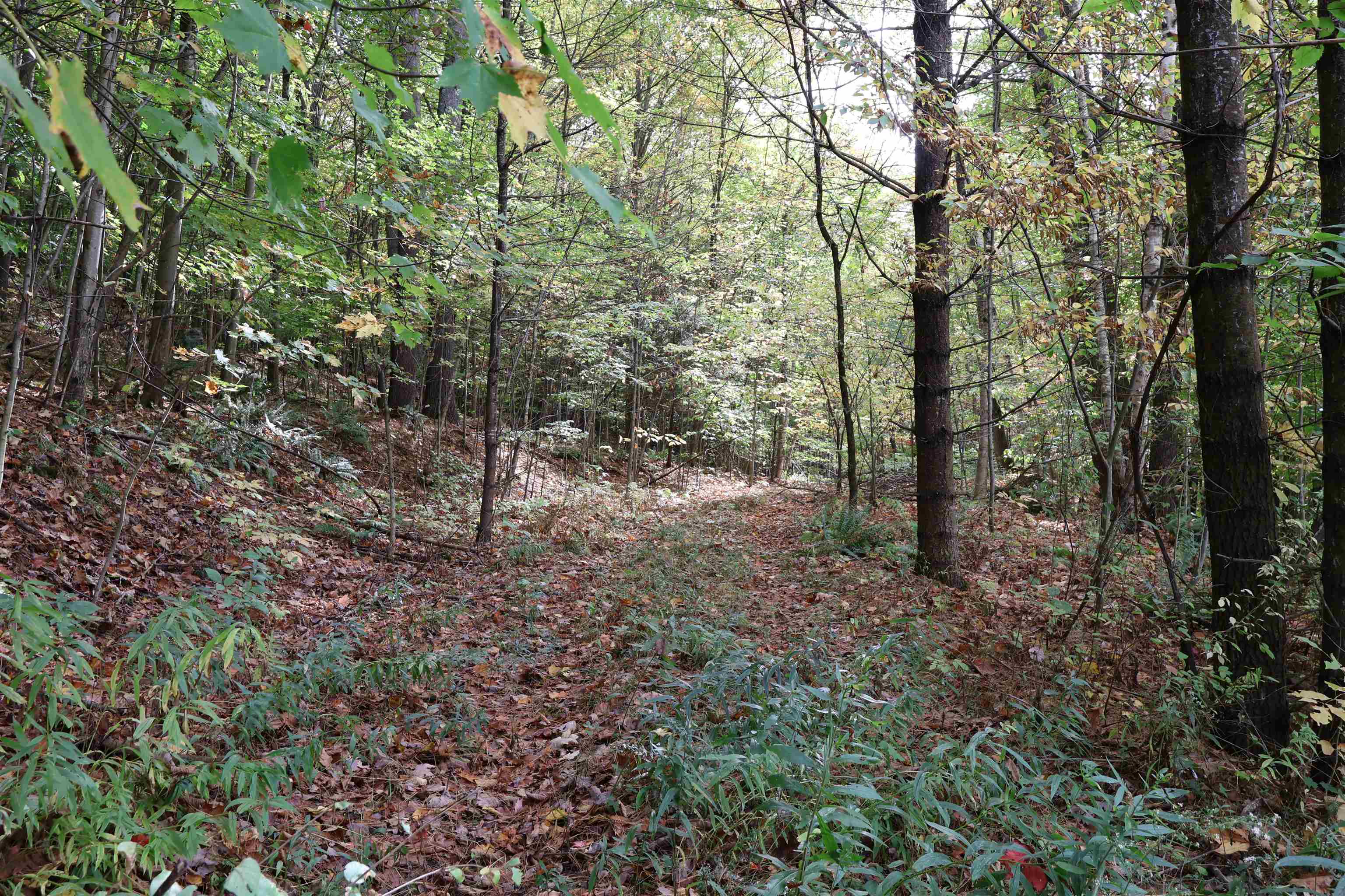 image of Hartford VT