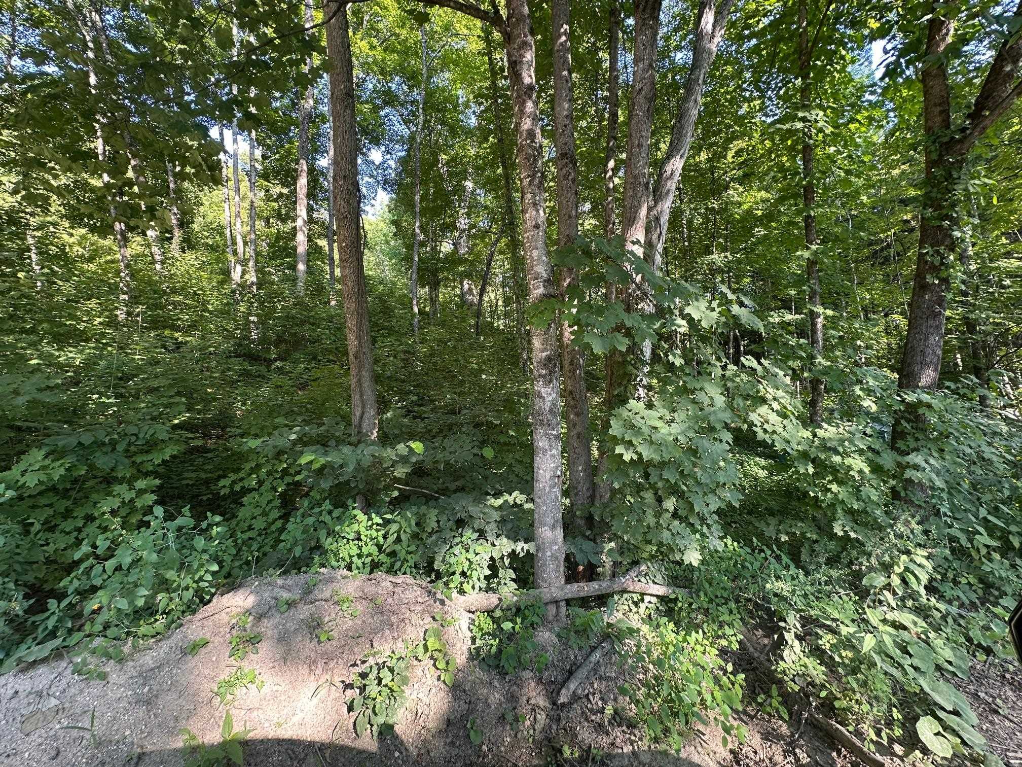 90 Old Swanzey Rd, Winchester, NH 03470