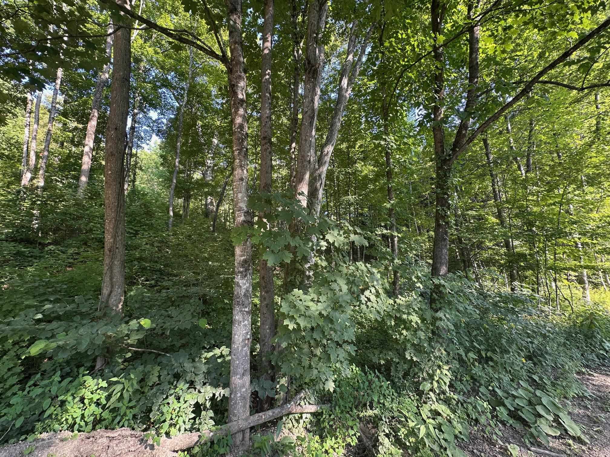 90 Old Swanzey Rd, Winchester, NH 03470