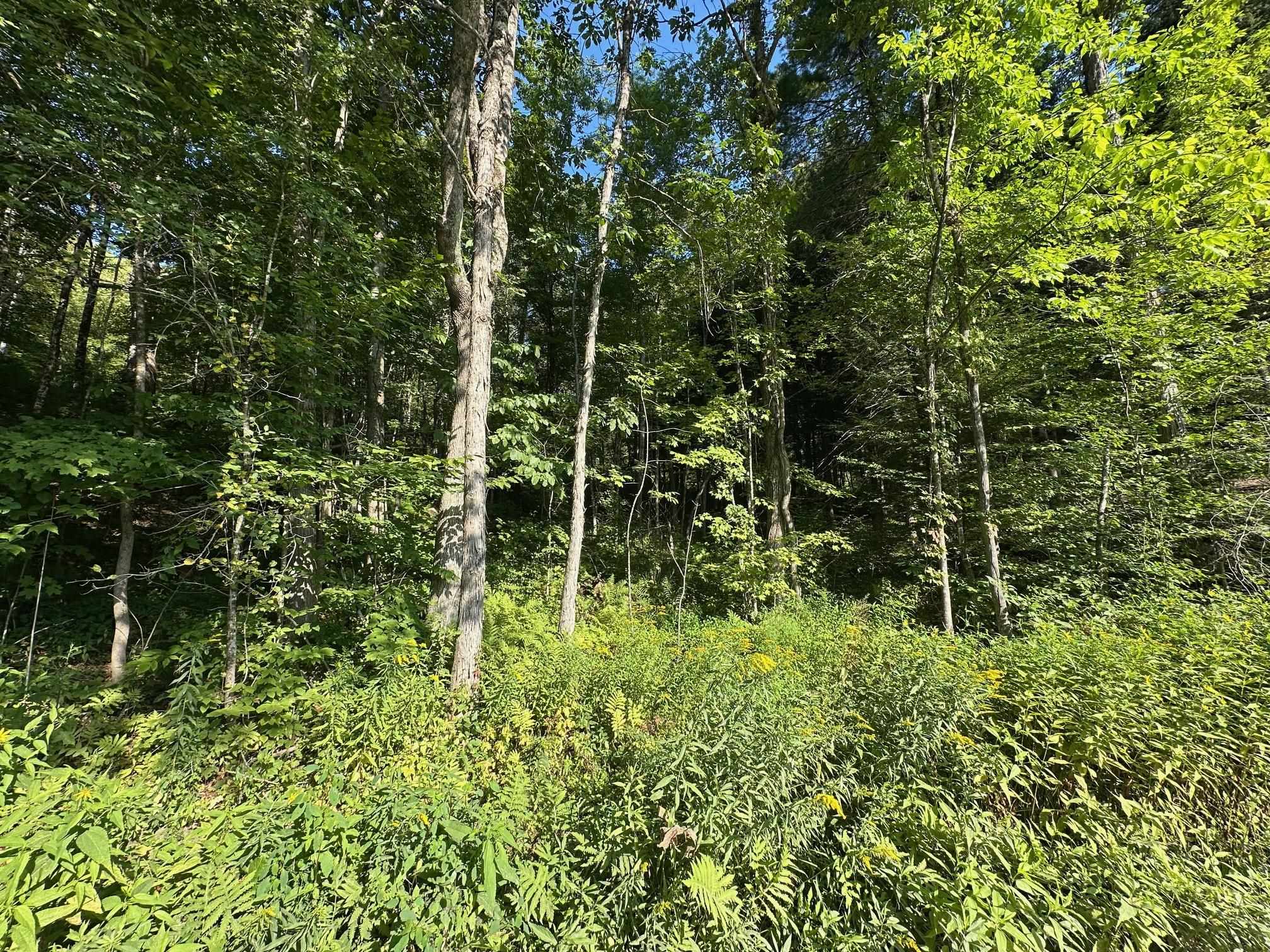 90 Old Swanzey Rd, Winchester, NH 03470