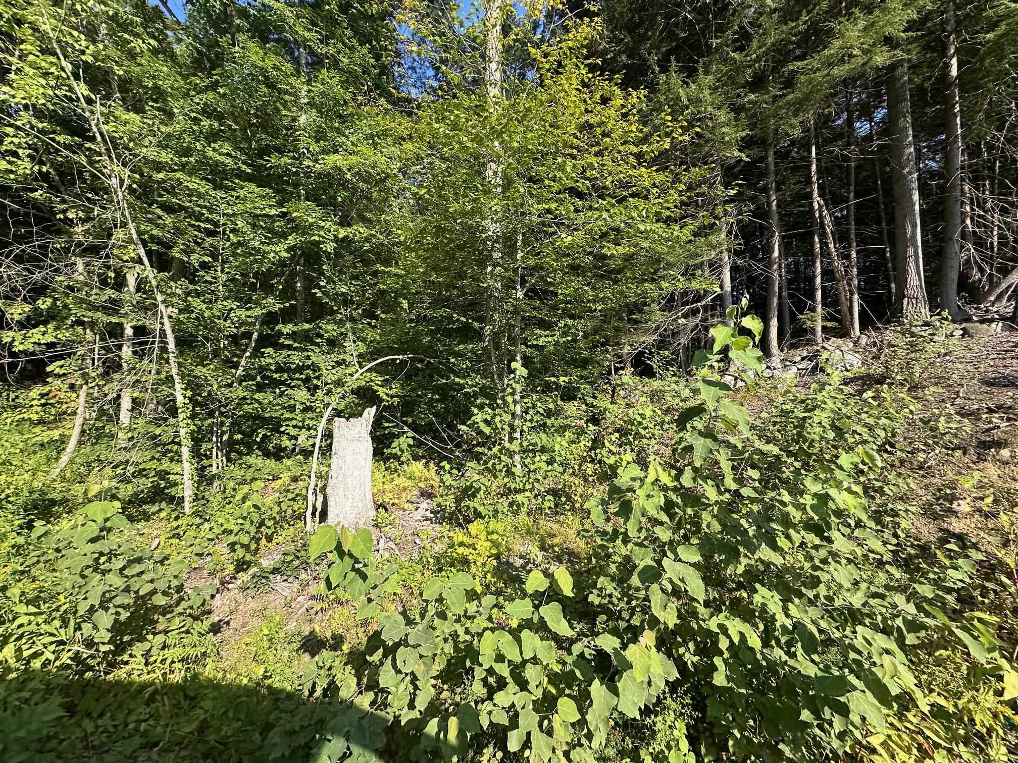 90 Old Swanzey Rd, Winchester, NH 03470