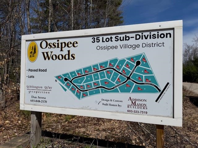 3 Wellington Ct, Ossipee, NH 03864